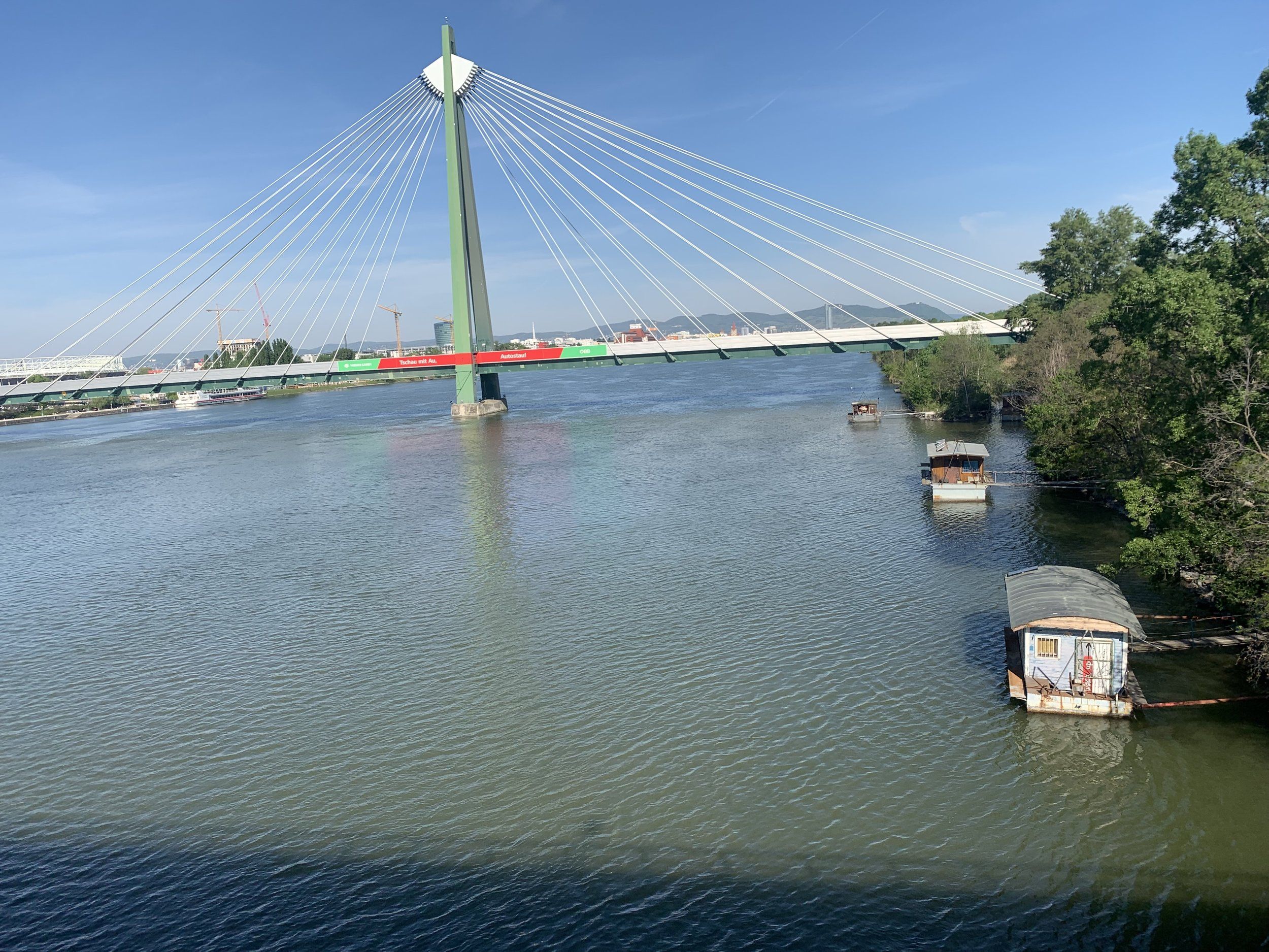 IMG_4082.jpeg
