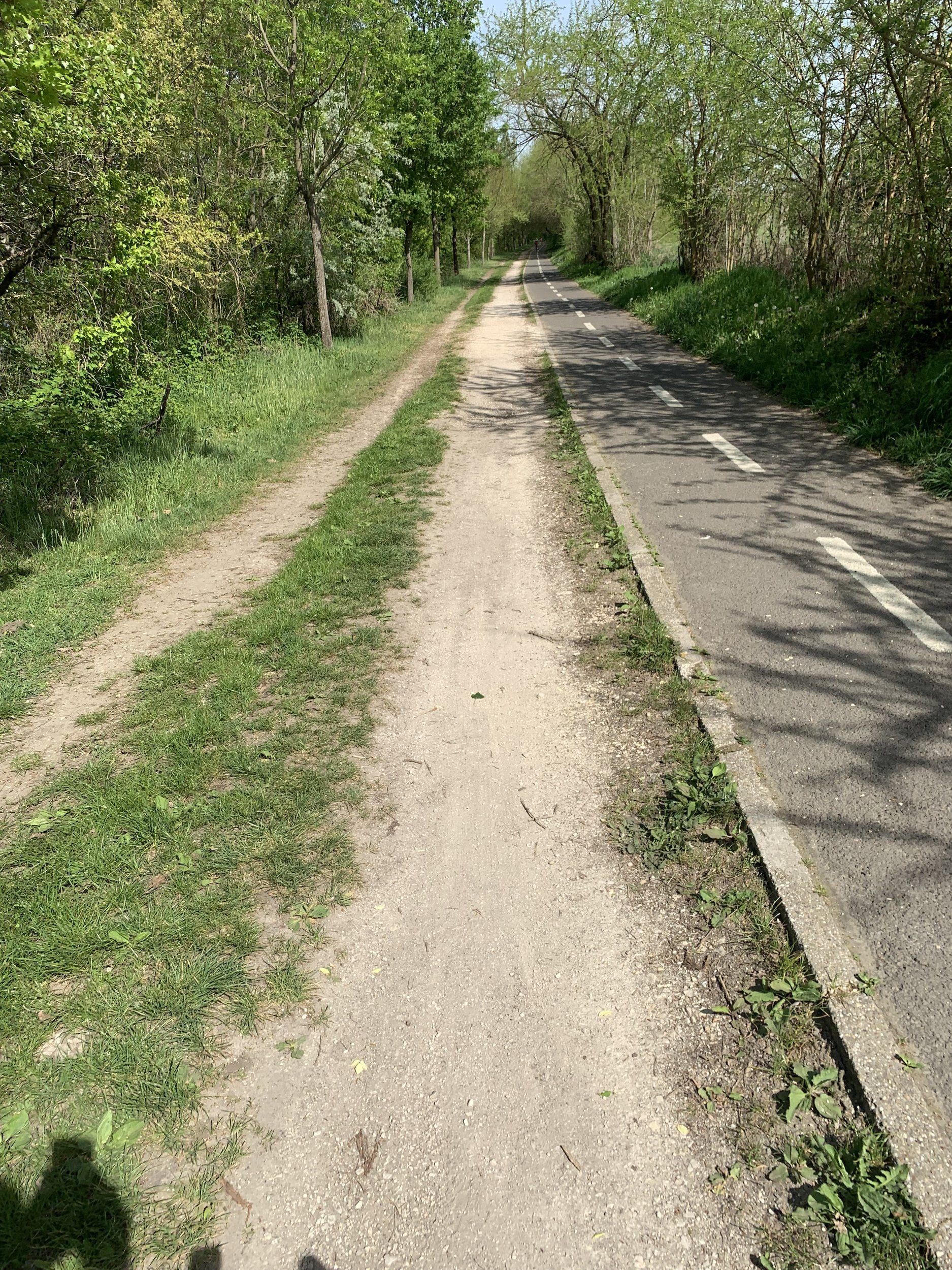 IMG_4218.jpeg