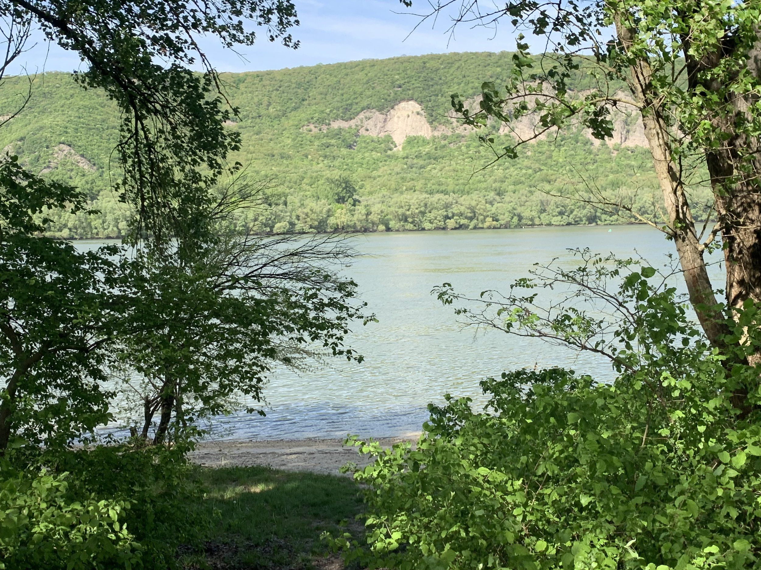 IMG_4219.jpeg