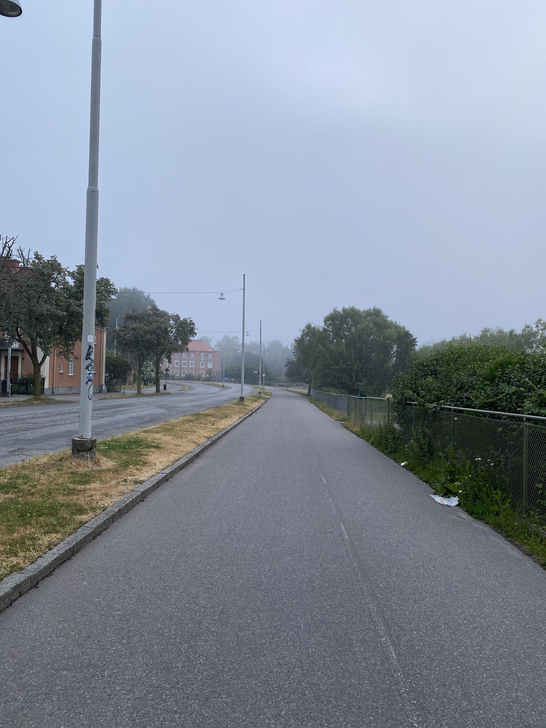 IMG_4269.jpeg