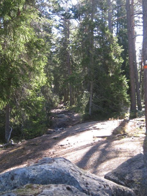 IMG_4287.jpg