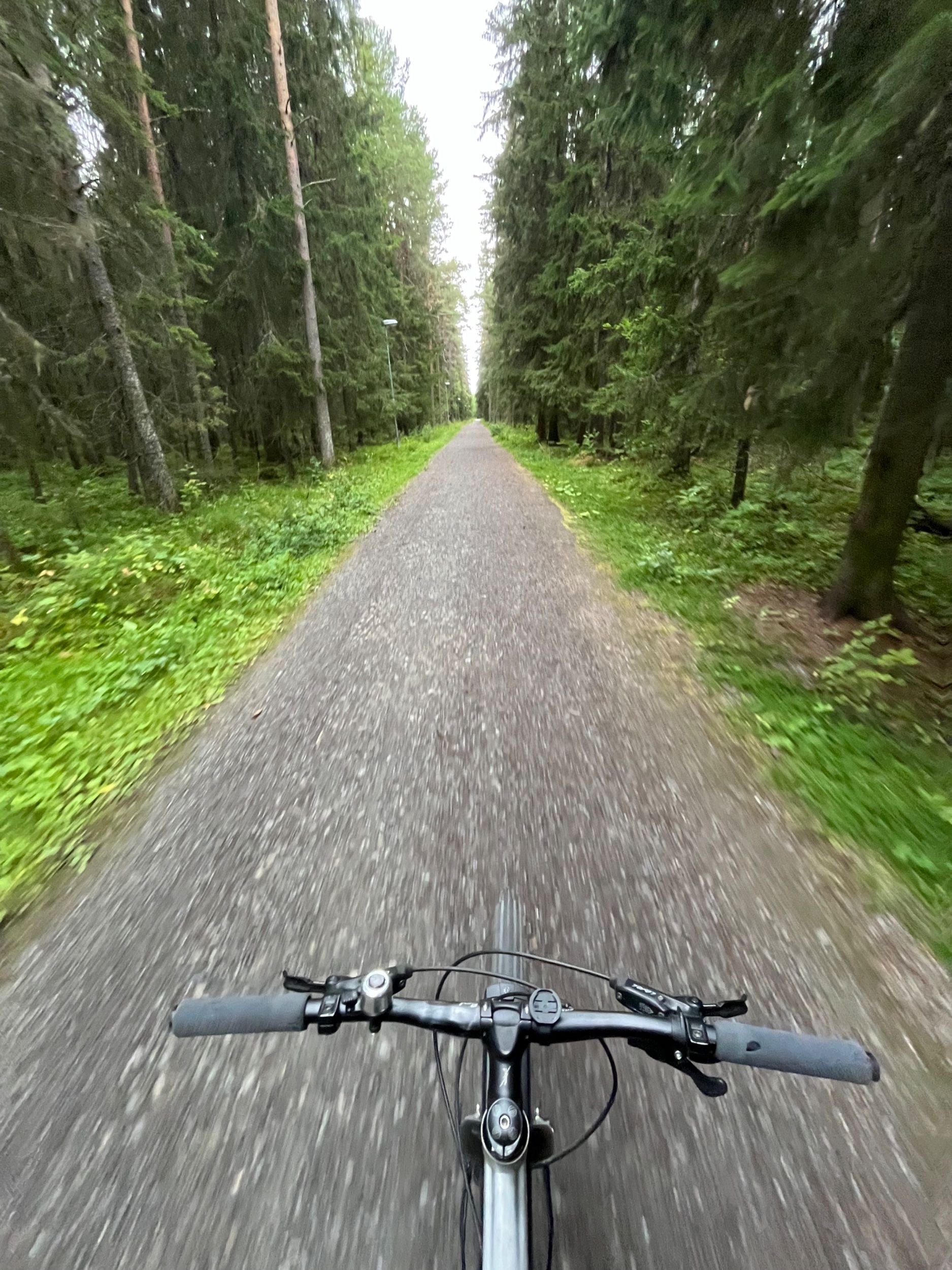 IMG_4430.jpeg