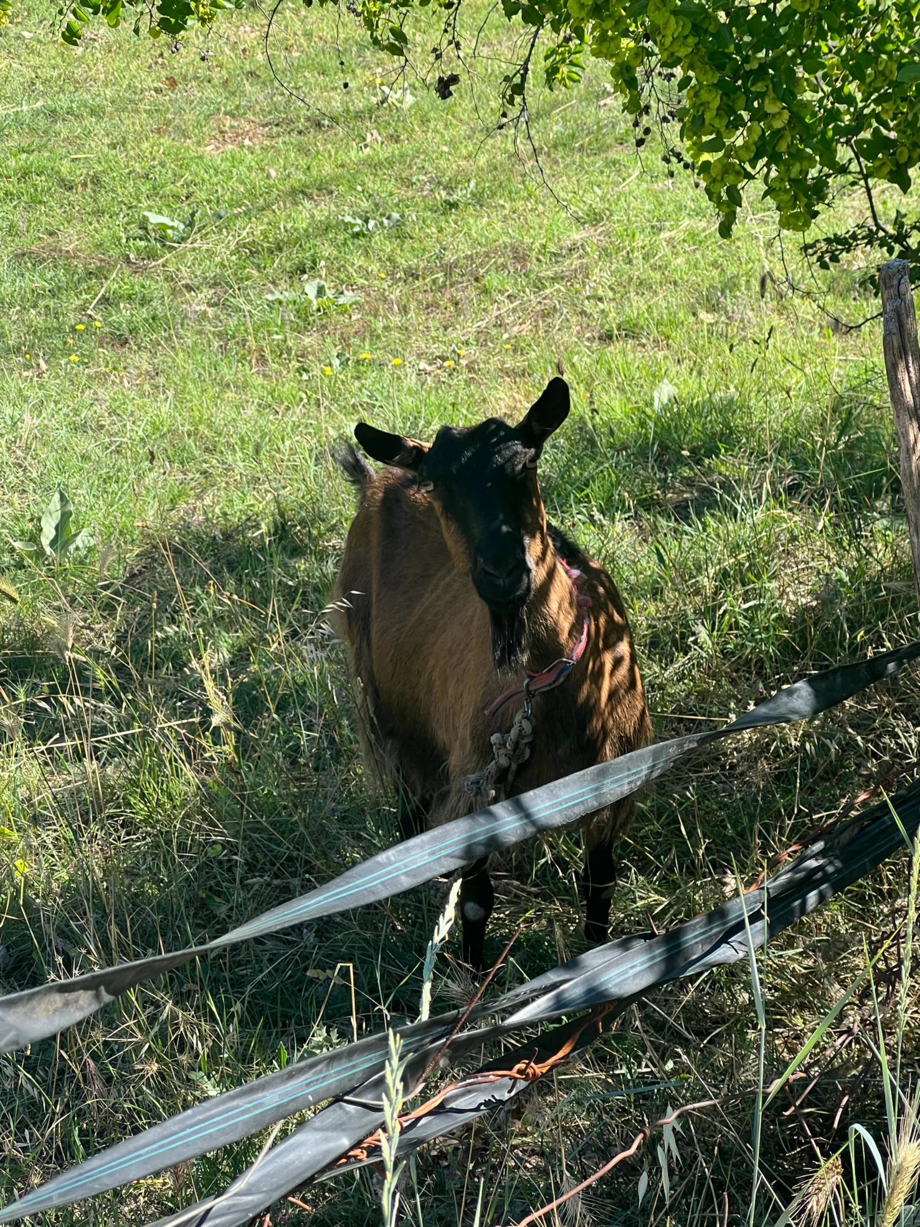 IMG_4443.webp