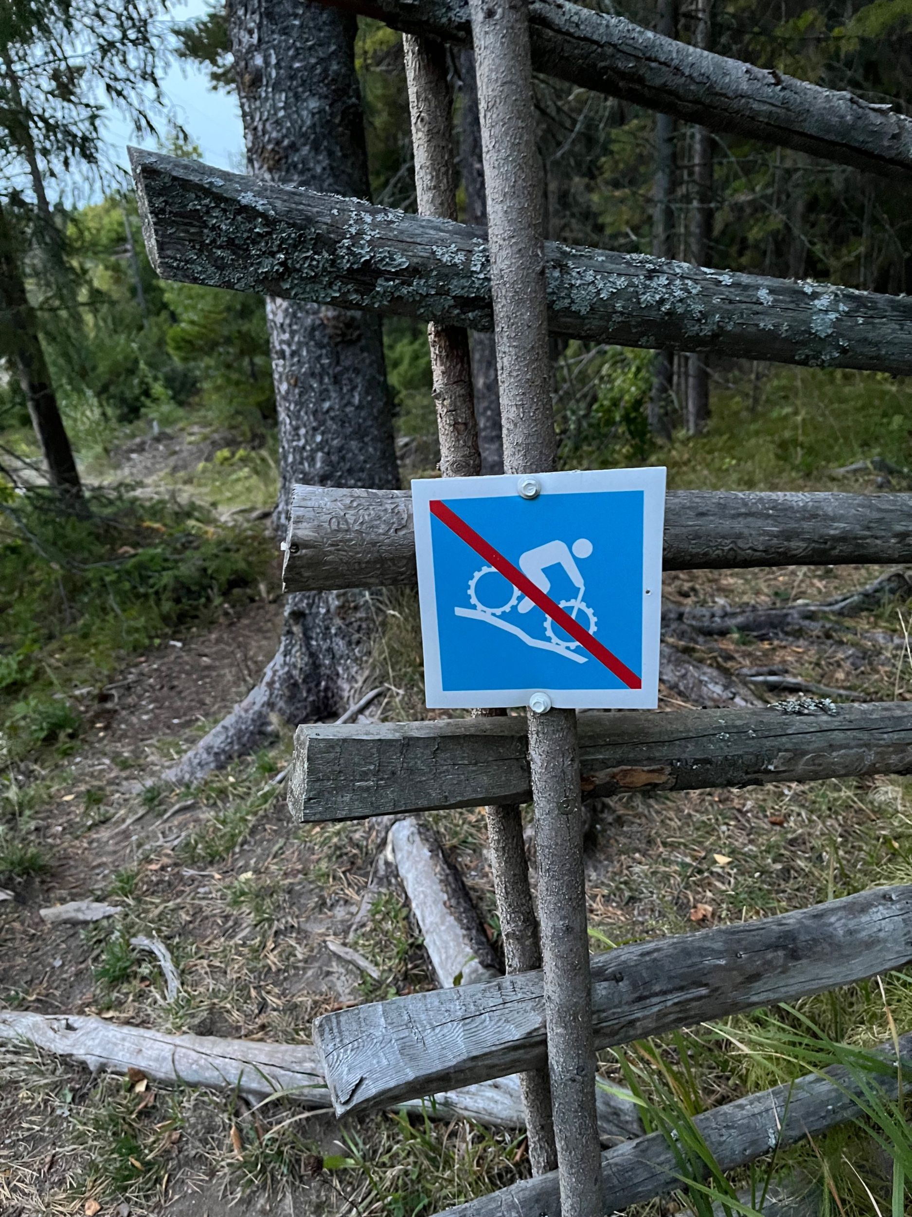 IMG_4508.jpeg