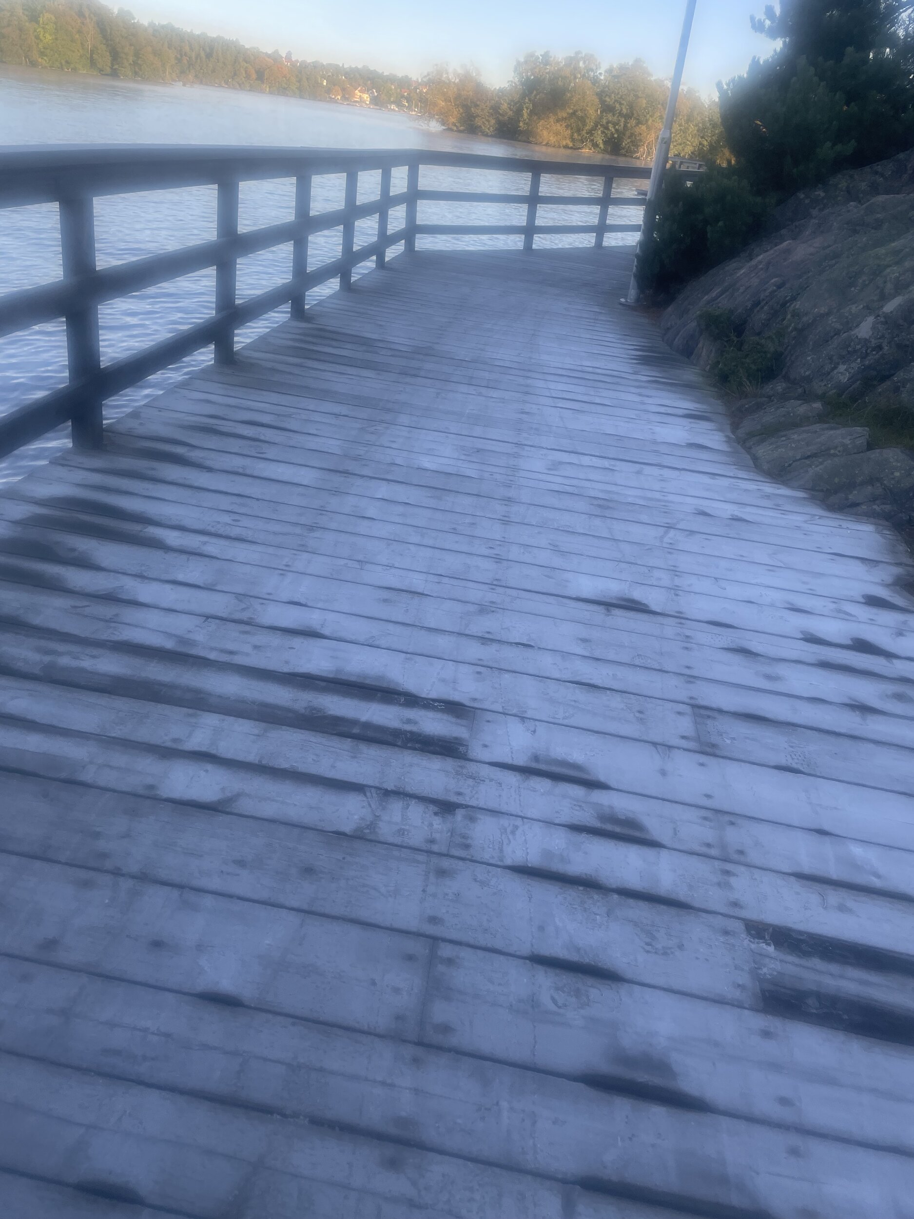 IMG_4552.jpeg
