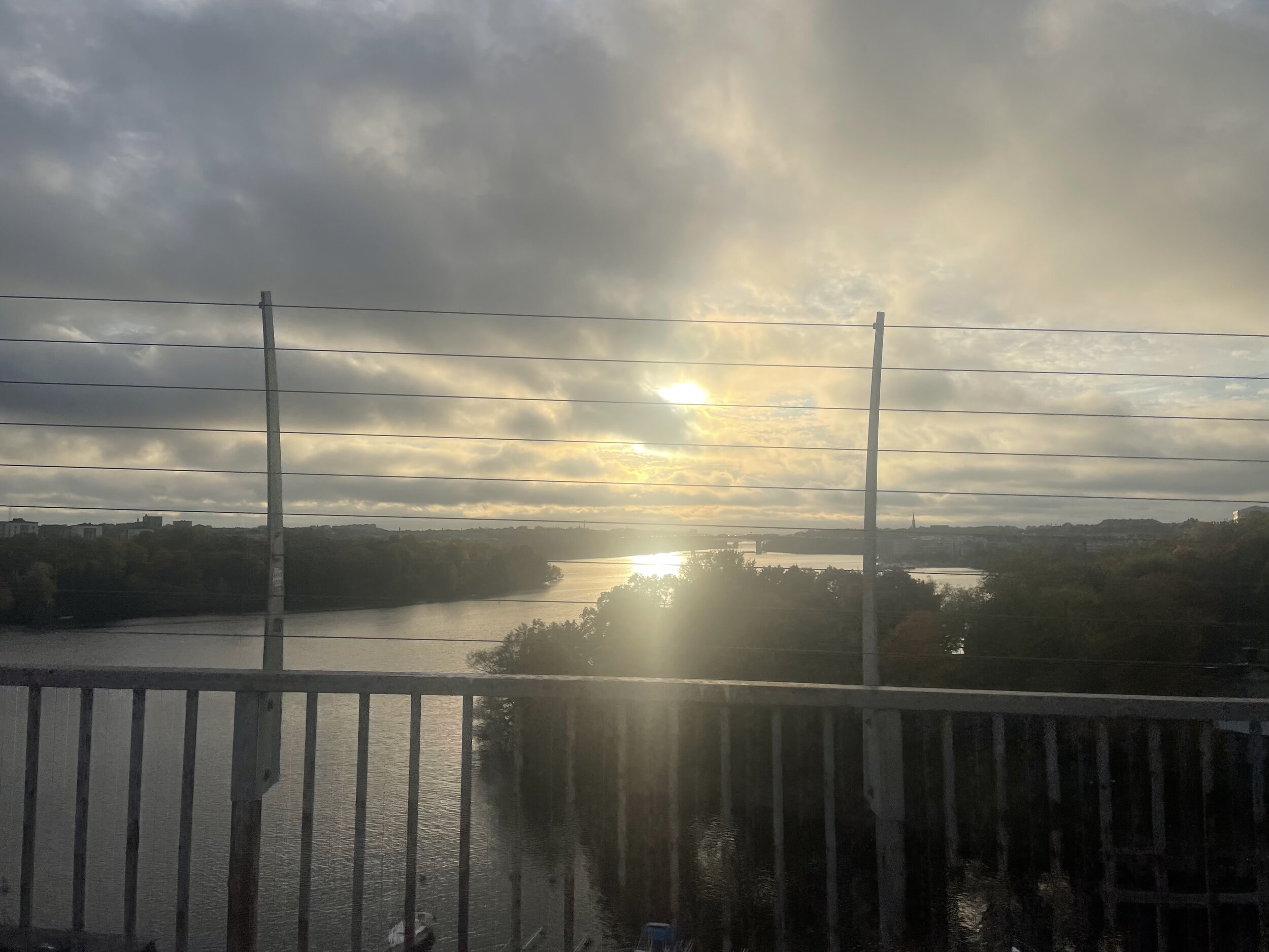 IMG_4651.jpeg