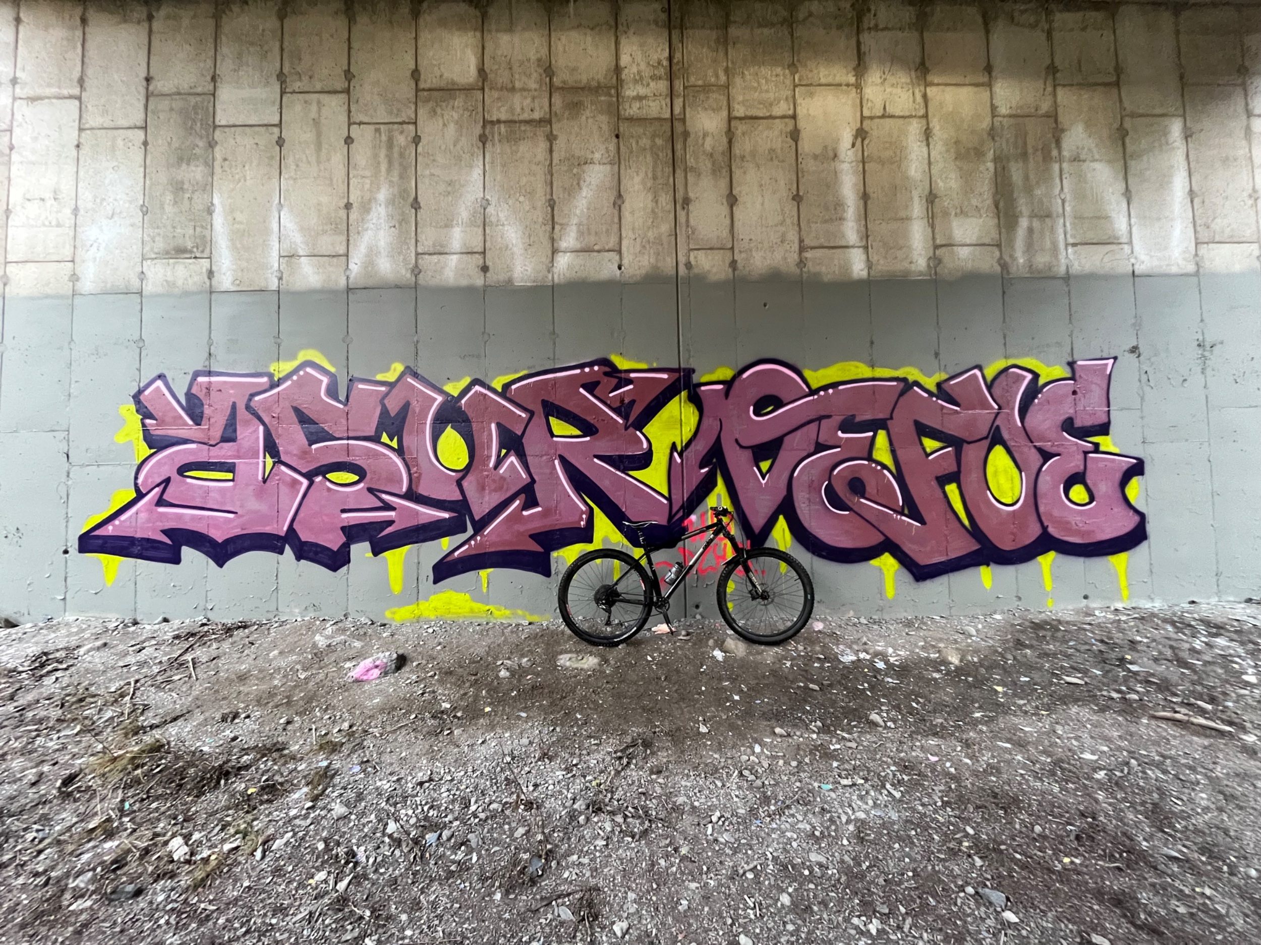 IMG_4825.jpeg