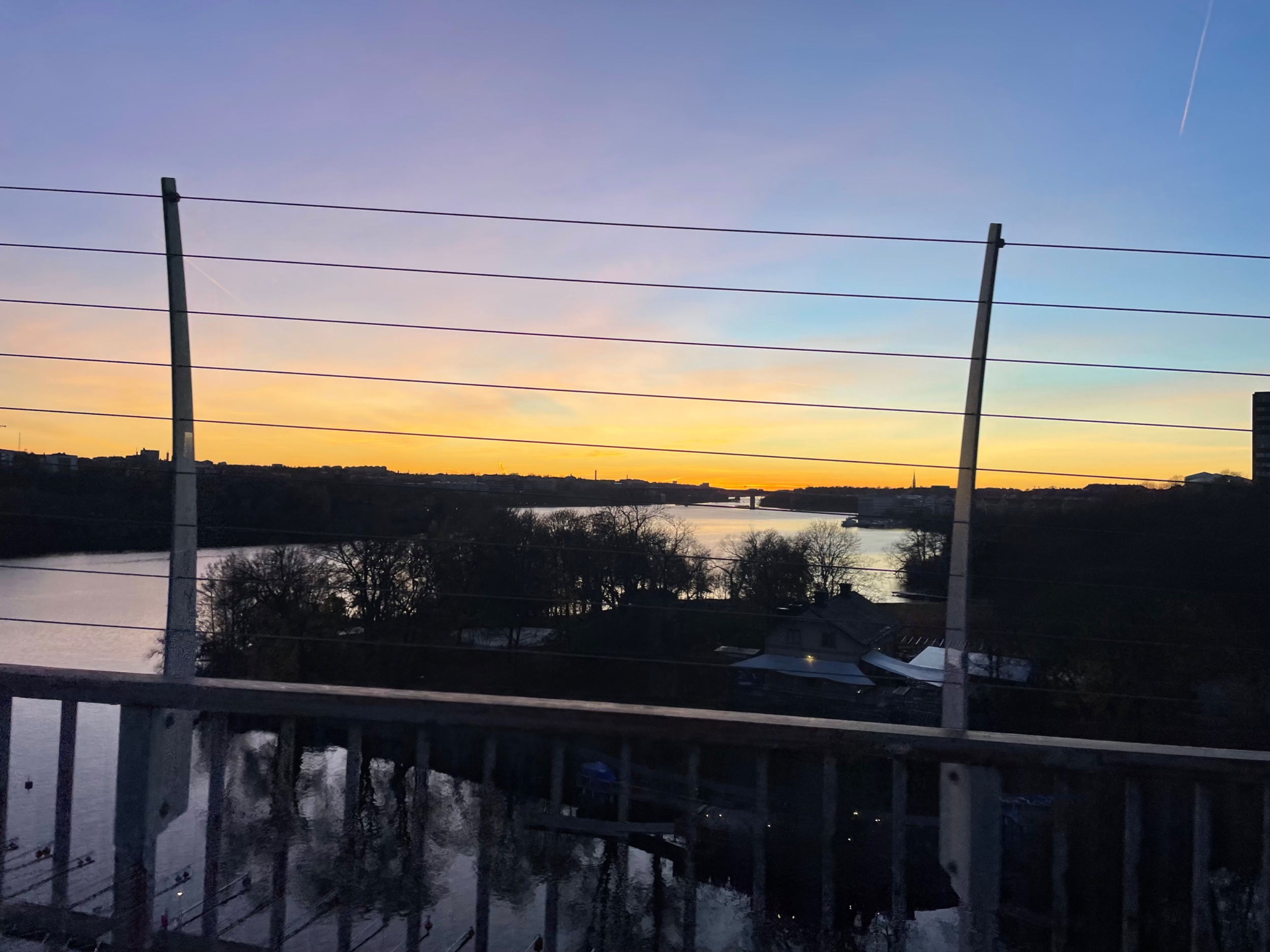 IMG_4906.jpeg