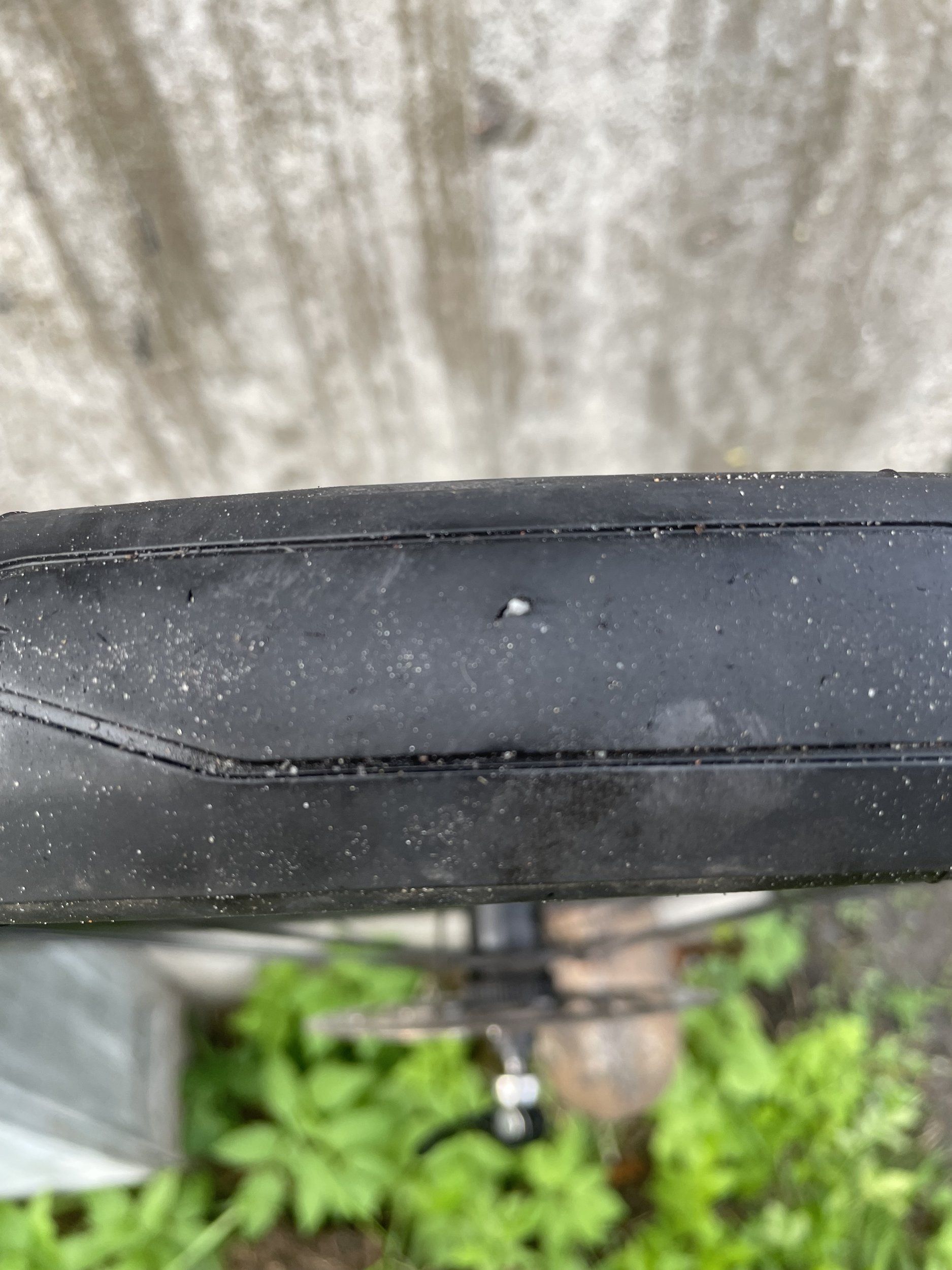 IMG_4917.jpeg