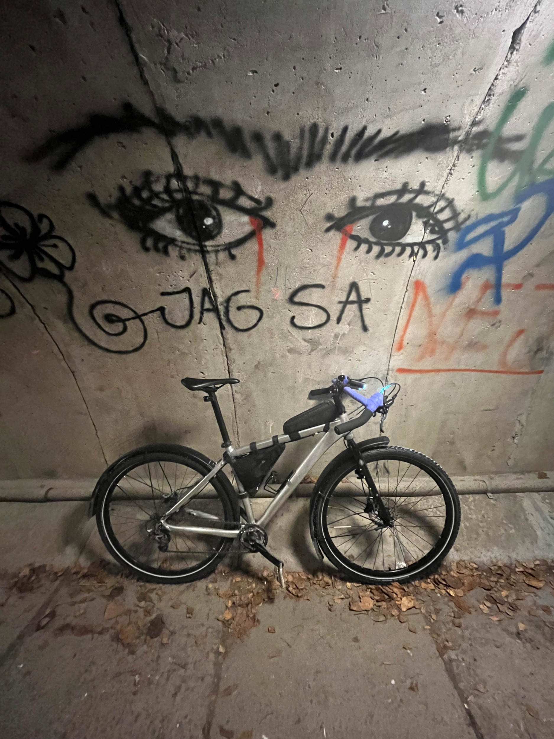 IMG_4985.jpeg