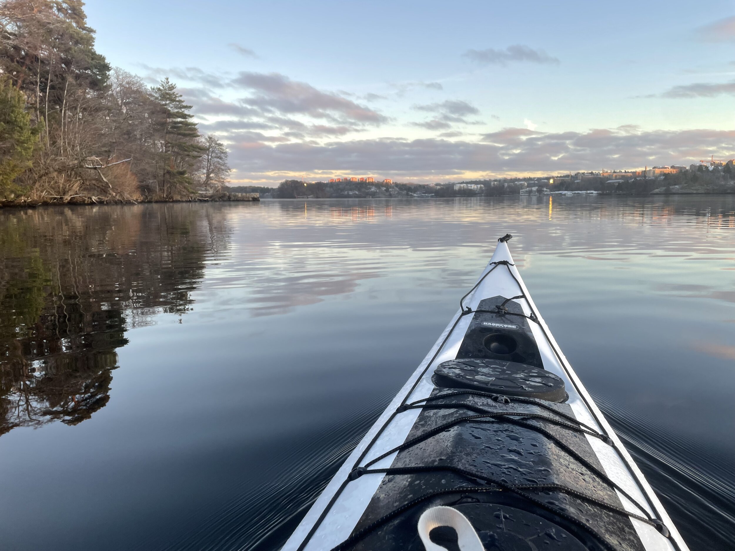 IMG_5121.jpeg