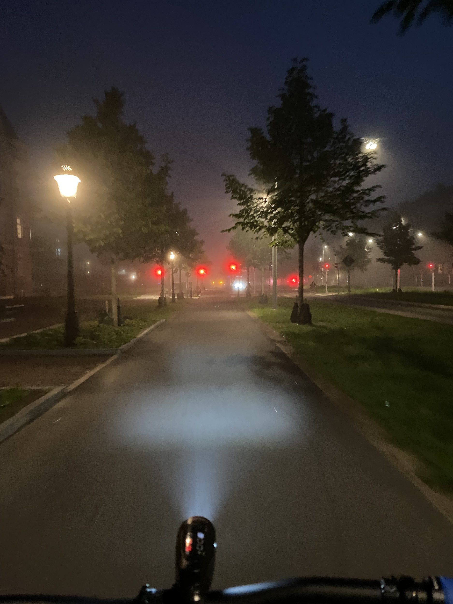 IMG_5387.jpeg