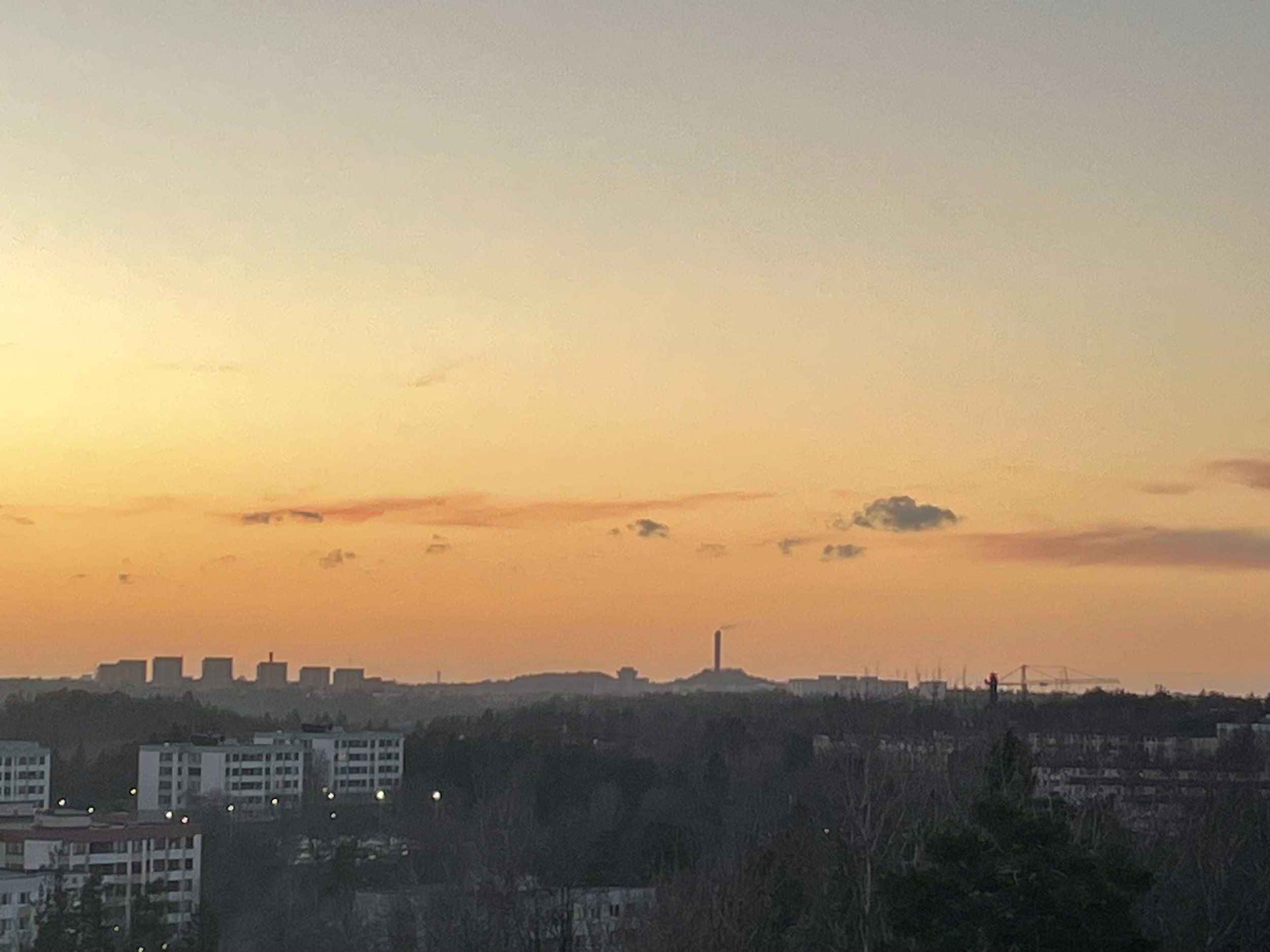 IMG_5503.jpeg