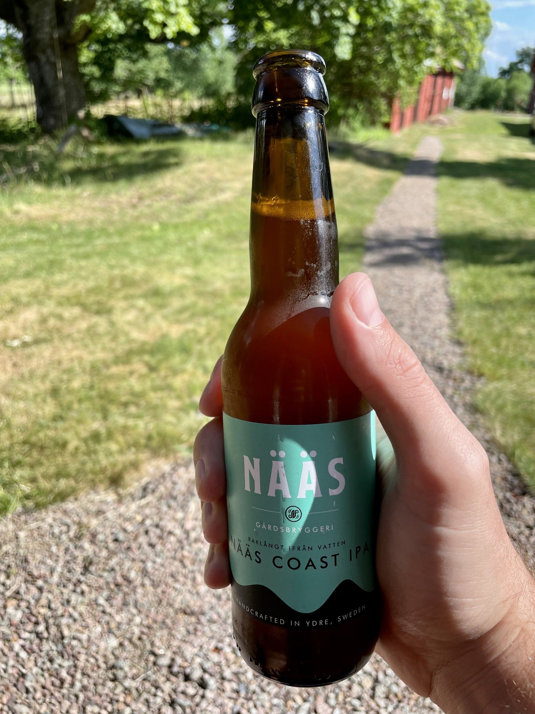 IMG_5518.jpeg