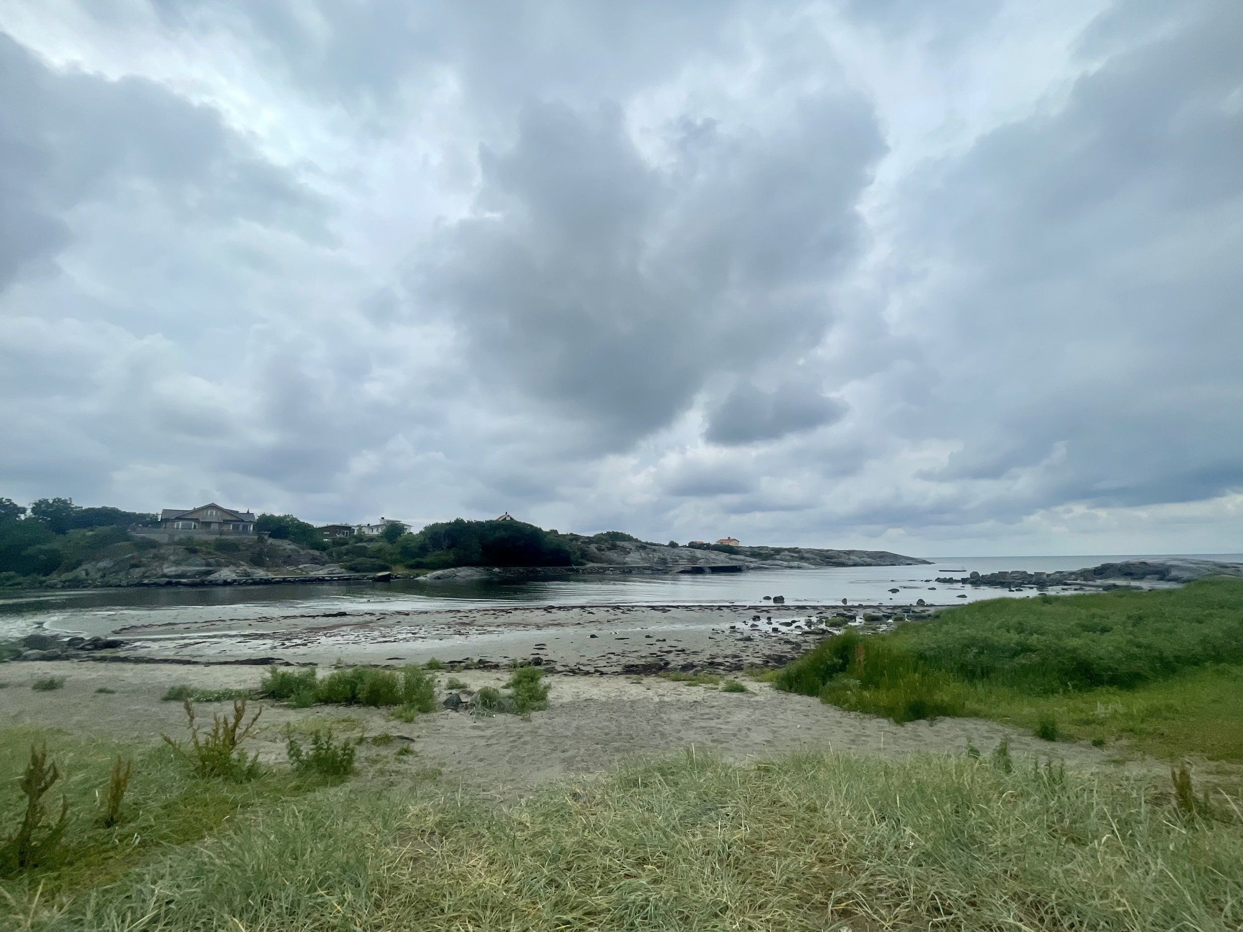 IMG_5548.jpeg