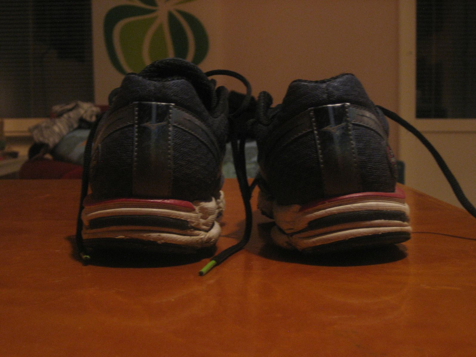 IMG_5812.JPG