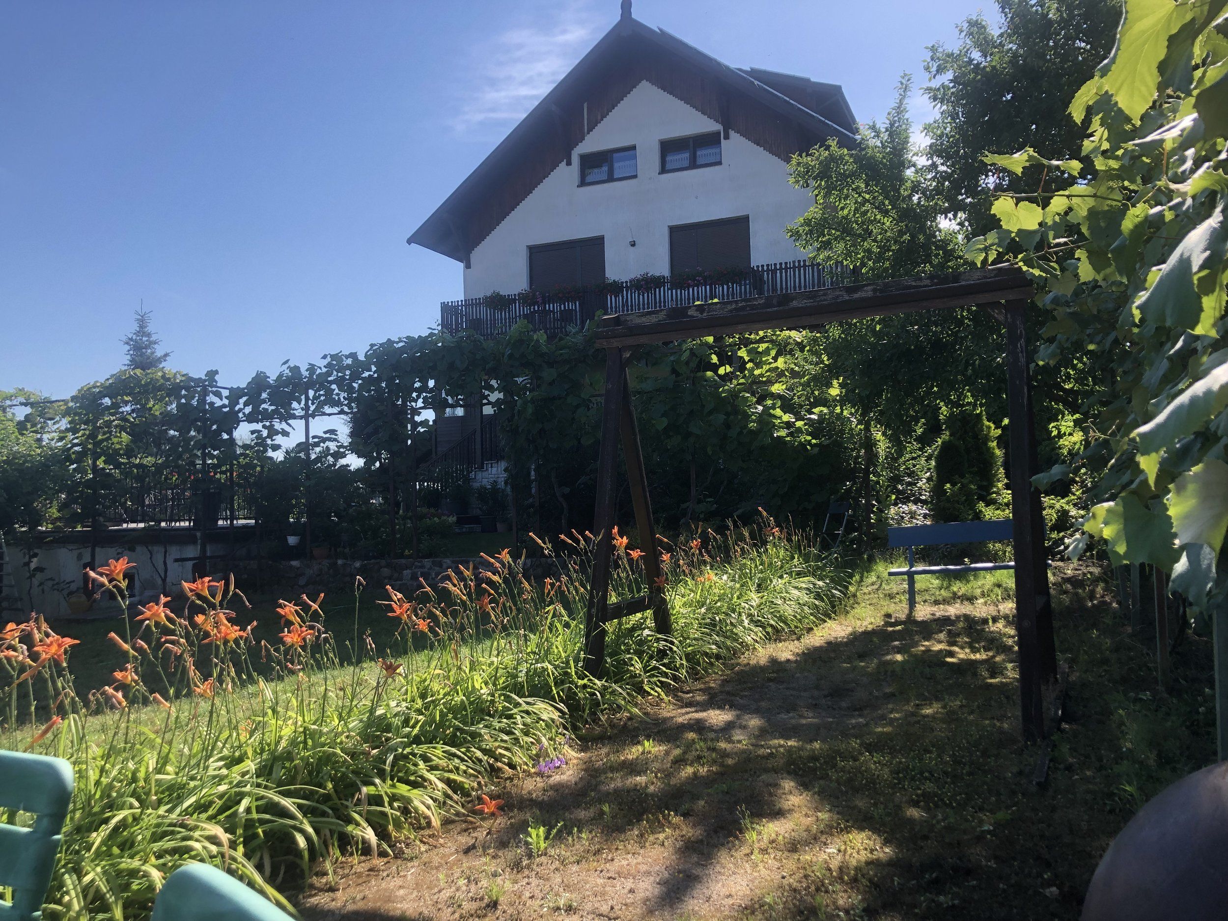 IMG_5931.jpeg