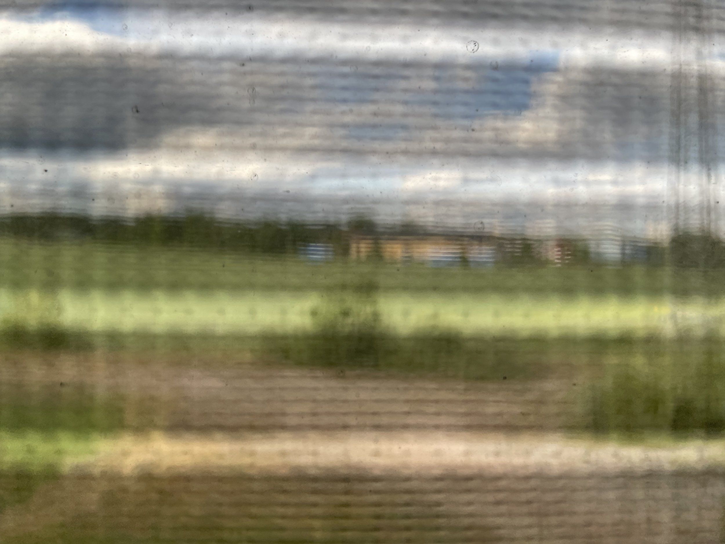 IMG_6030.jpeg