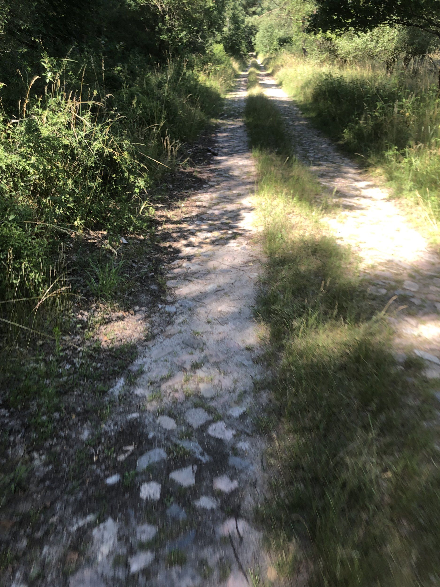 IMG_6059.jpeg