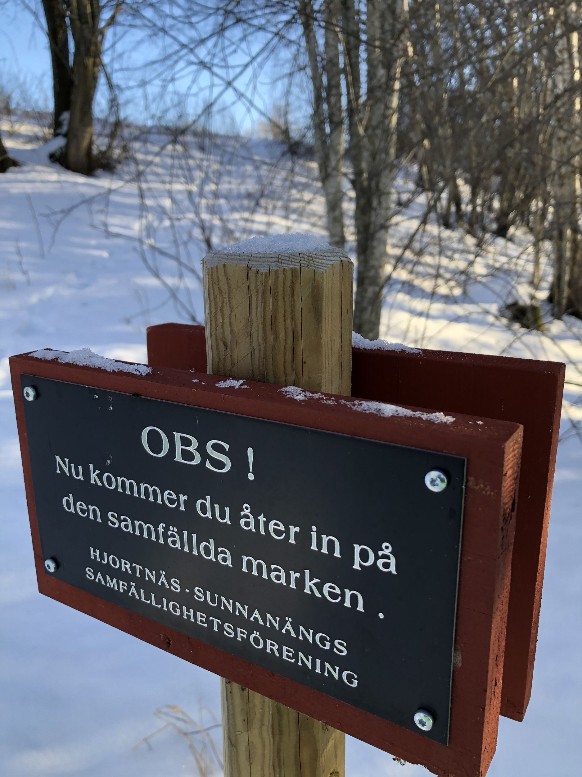 IMG_6115.jpeg