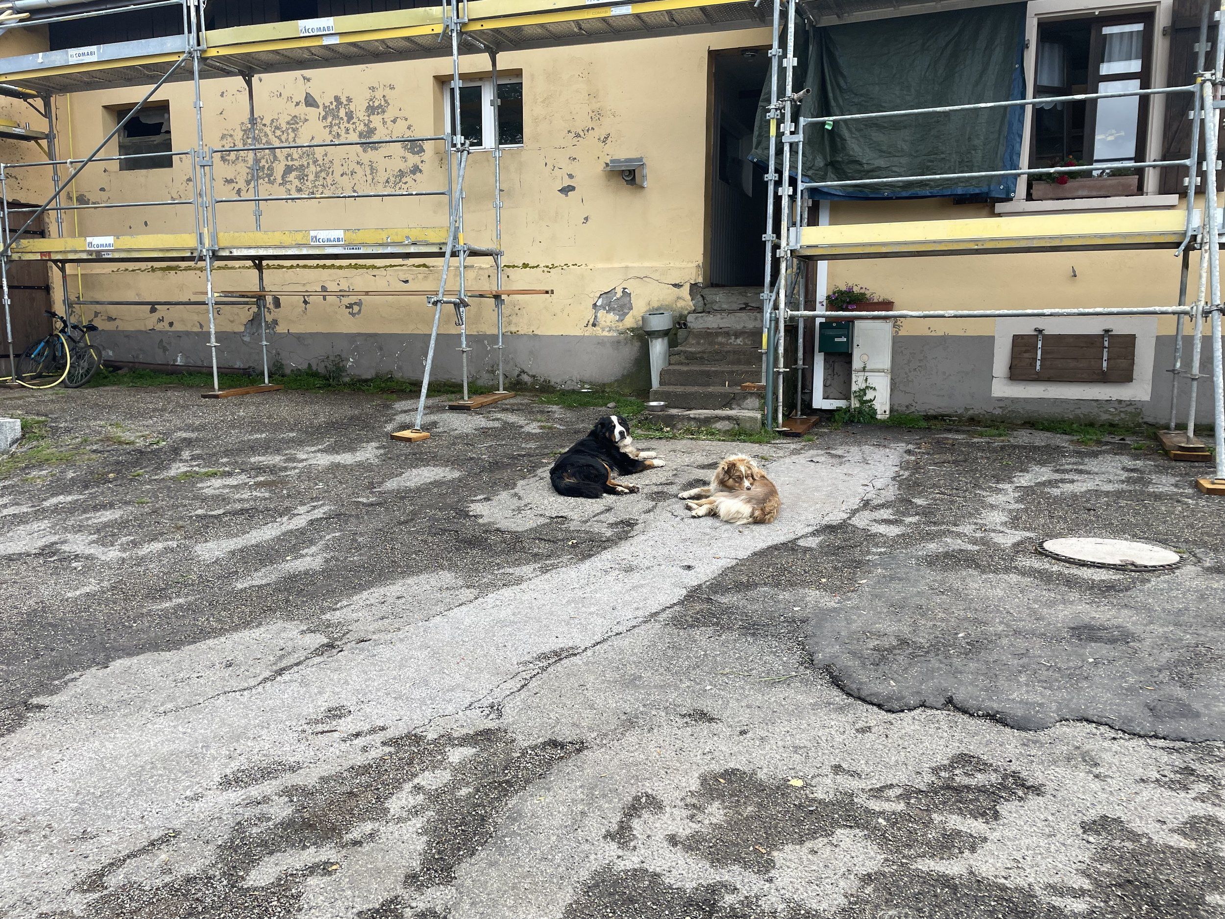 IMG_6258.jpeg