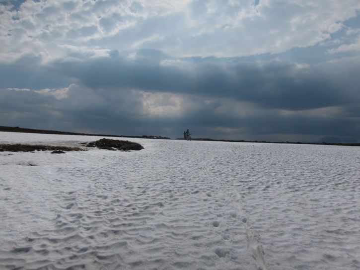 IMG_6263.jpg