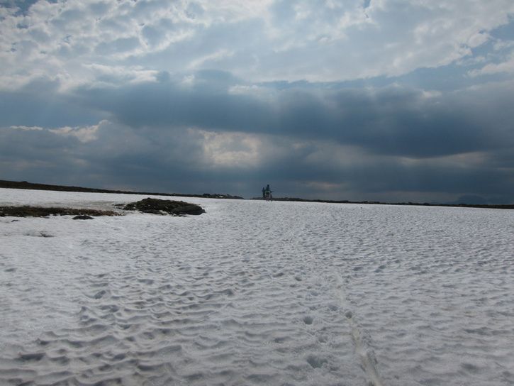 IMG_6263.jpg