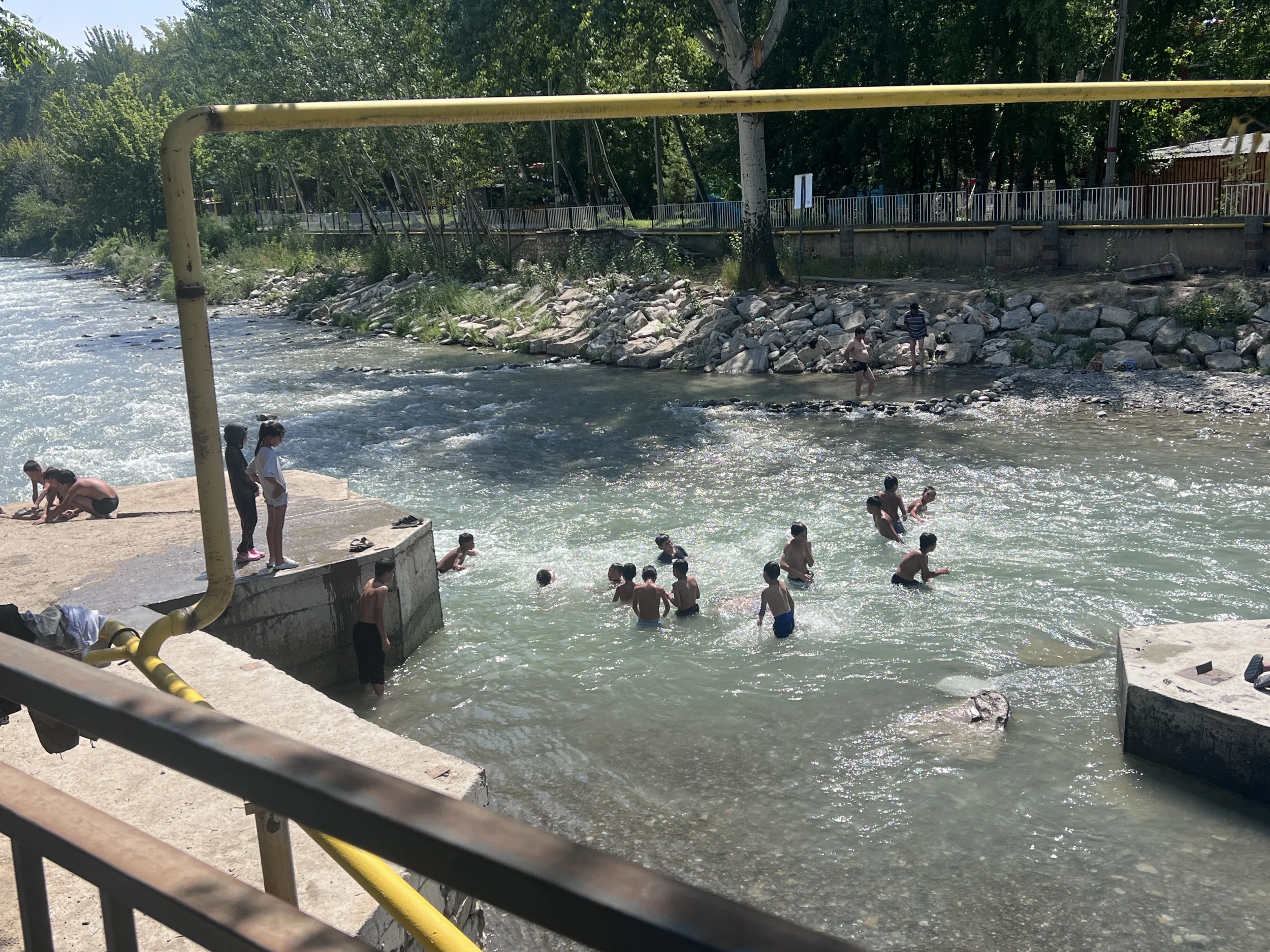 IMG_6345[1].webp