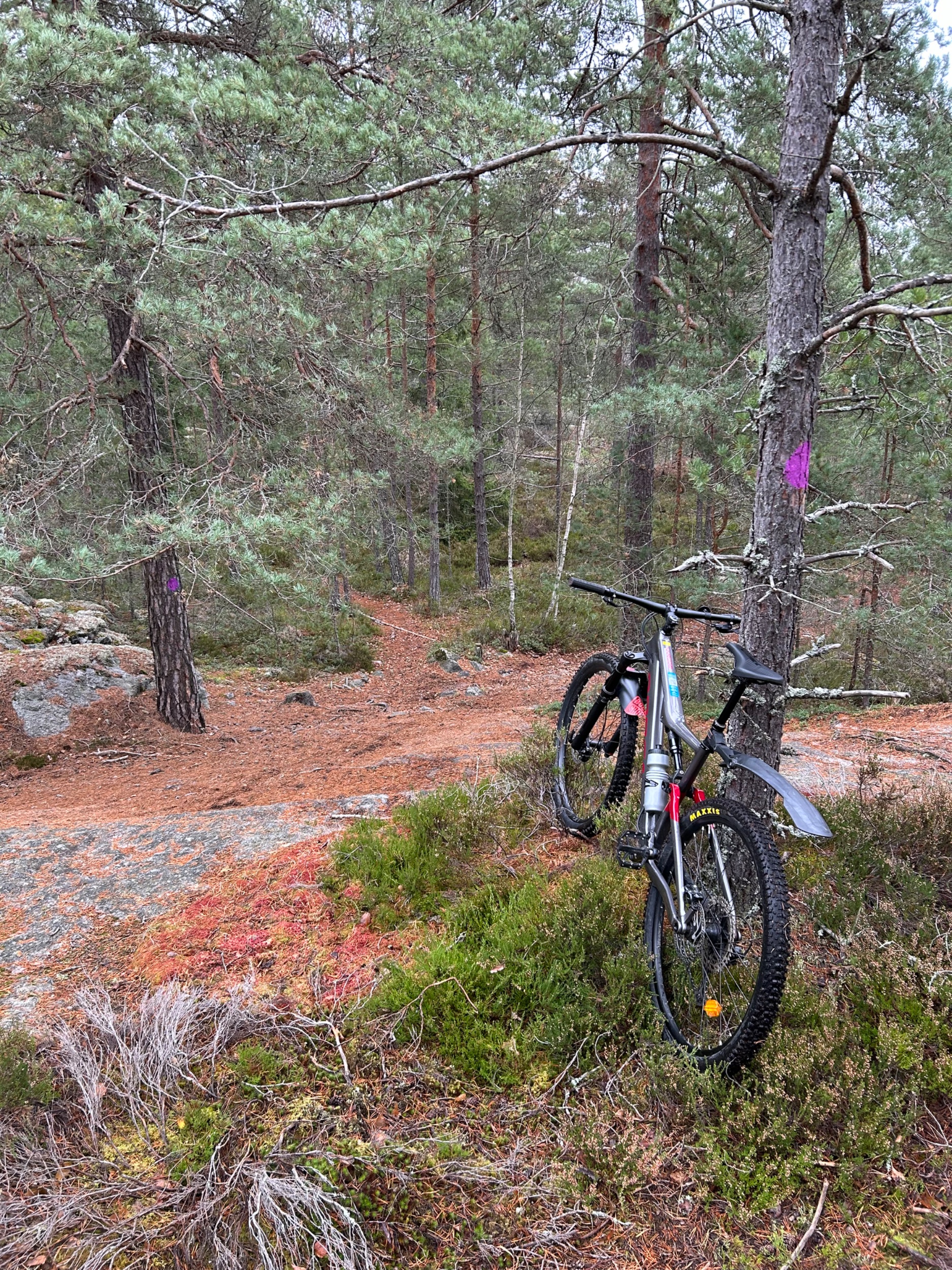 IMG_6373.jpeg