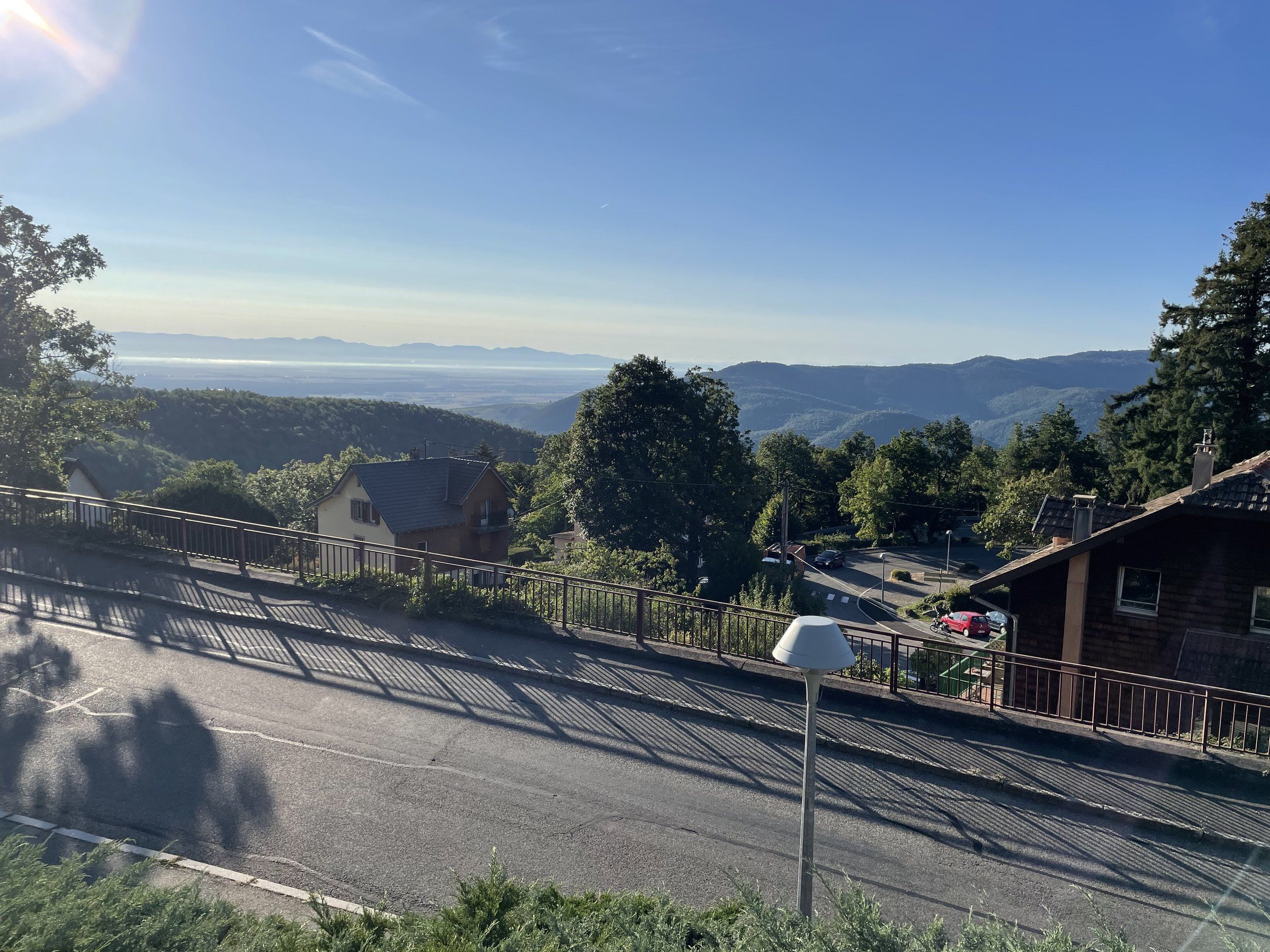 IMG_6476.jpeg