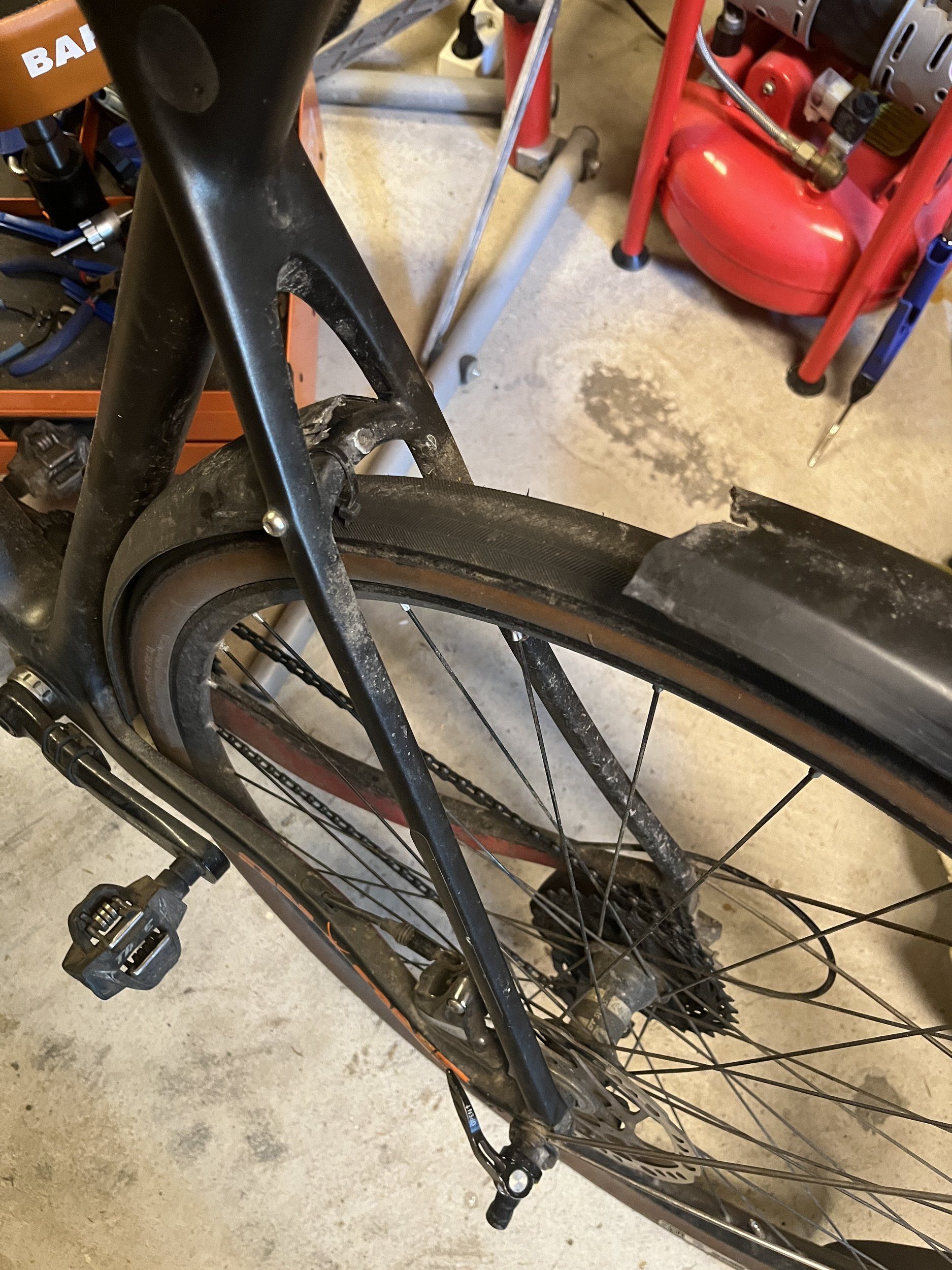 IMG_6503.jpeg