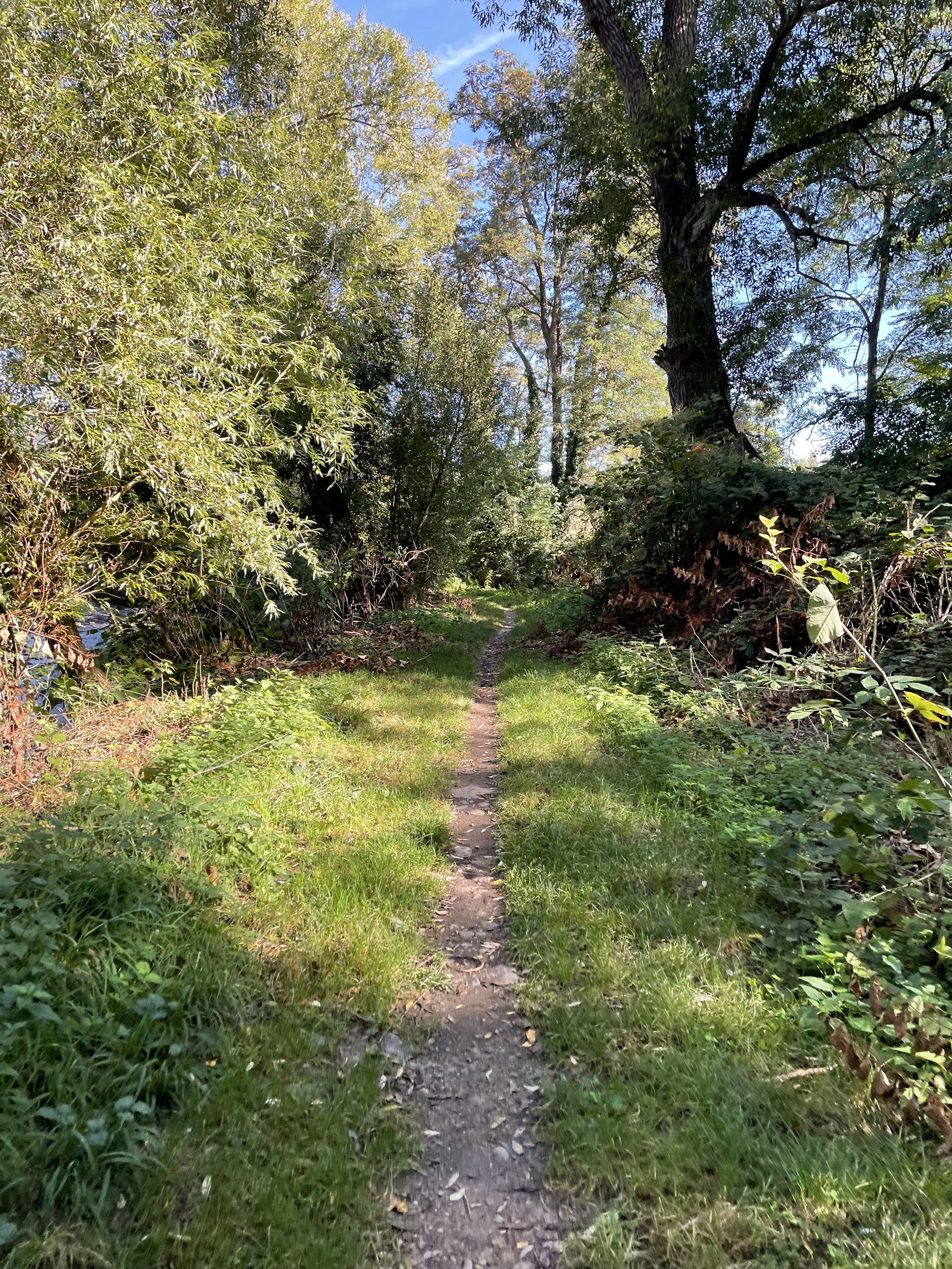 IMG_6516.jpeg