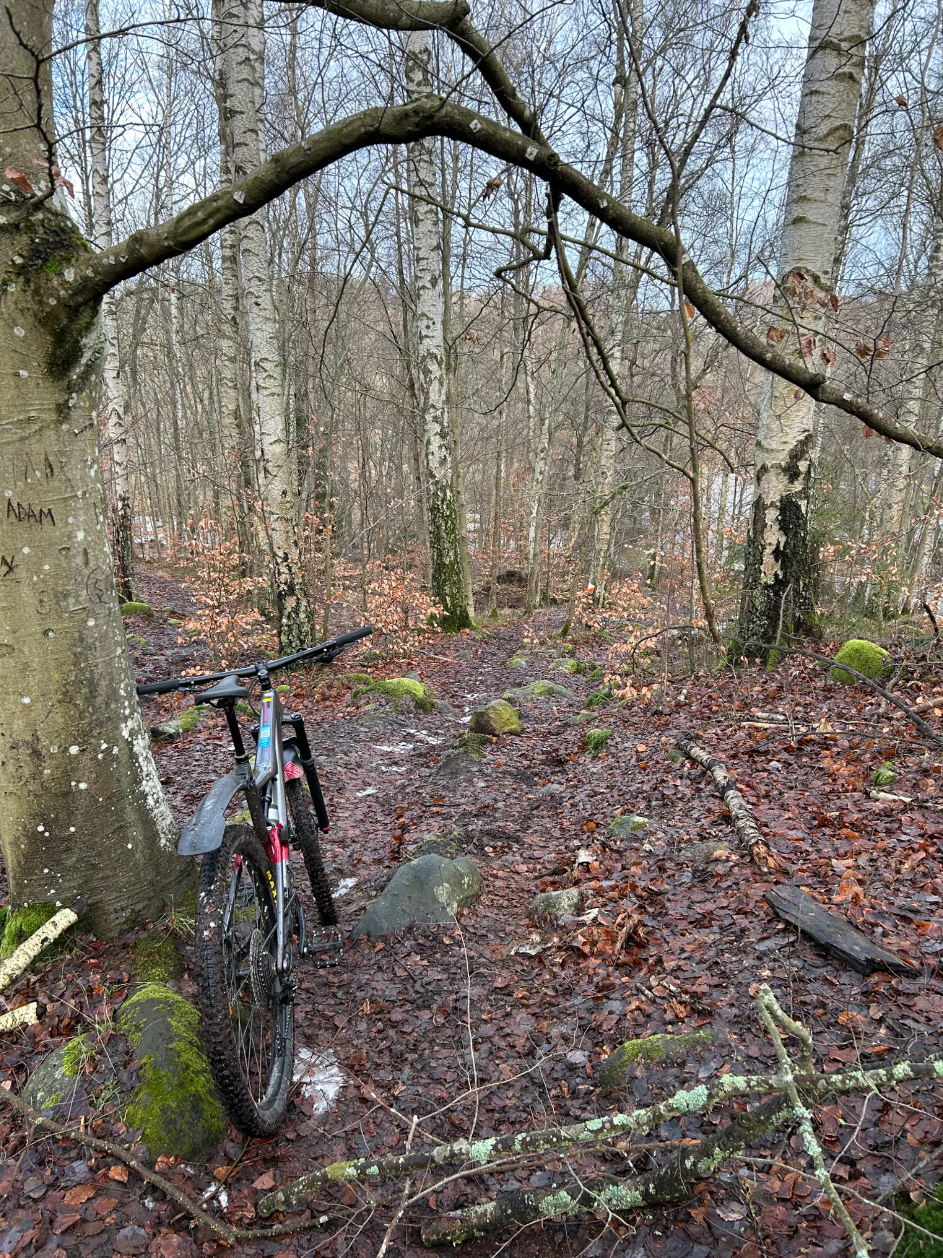IMG_6771.webp