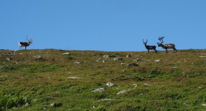 IMG_6816.jpg