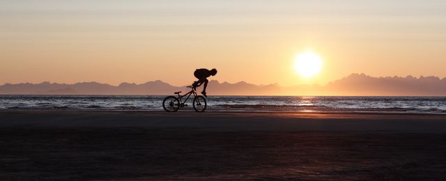 IMG_6852dpp.jpg ht=260