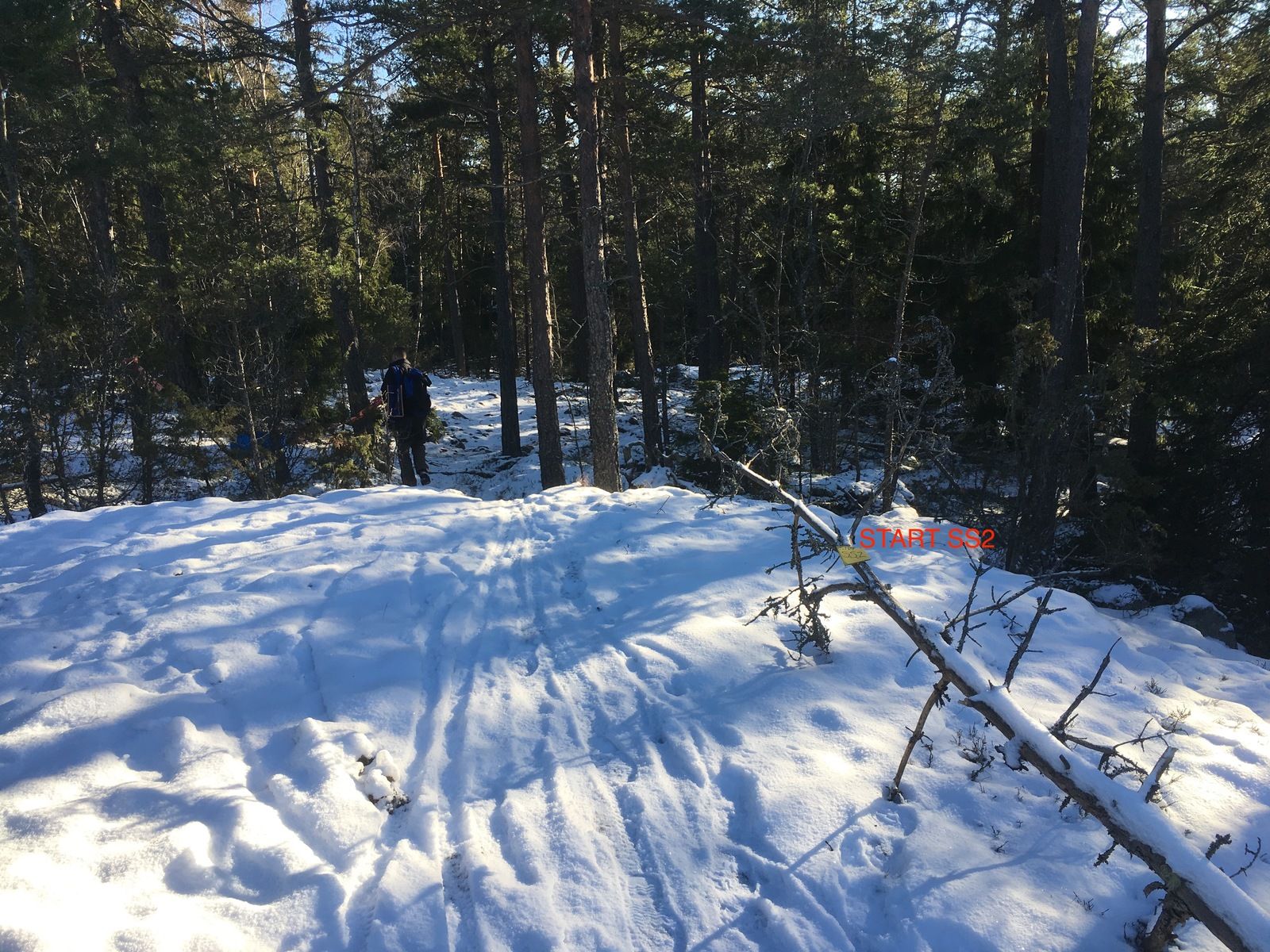 IMG_6917.JPG