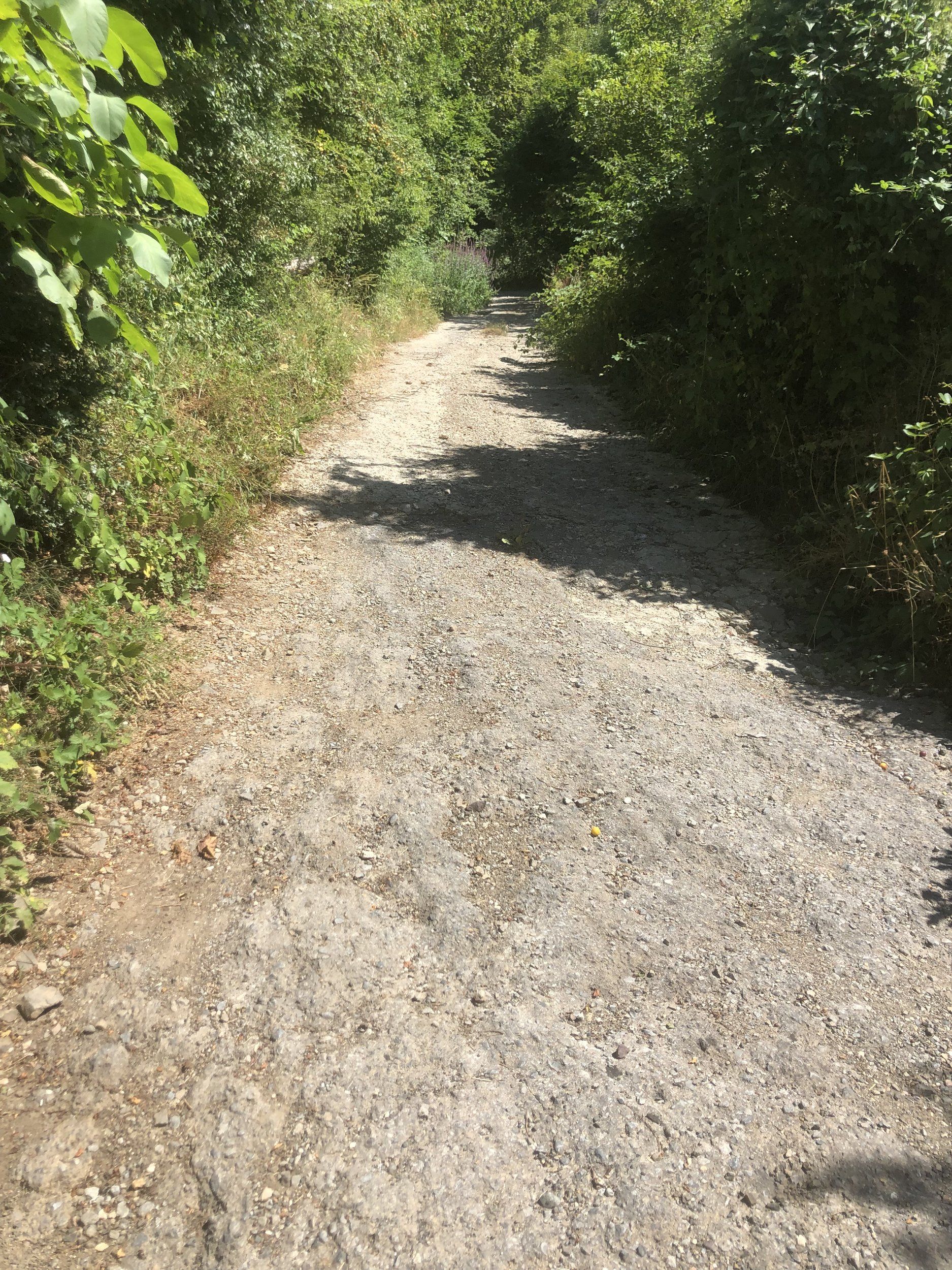 IMG_6951.jpeg