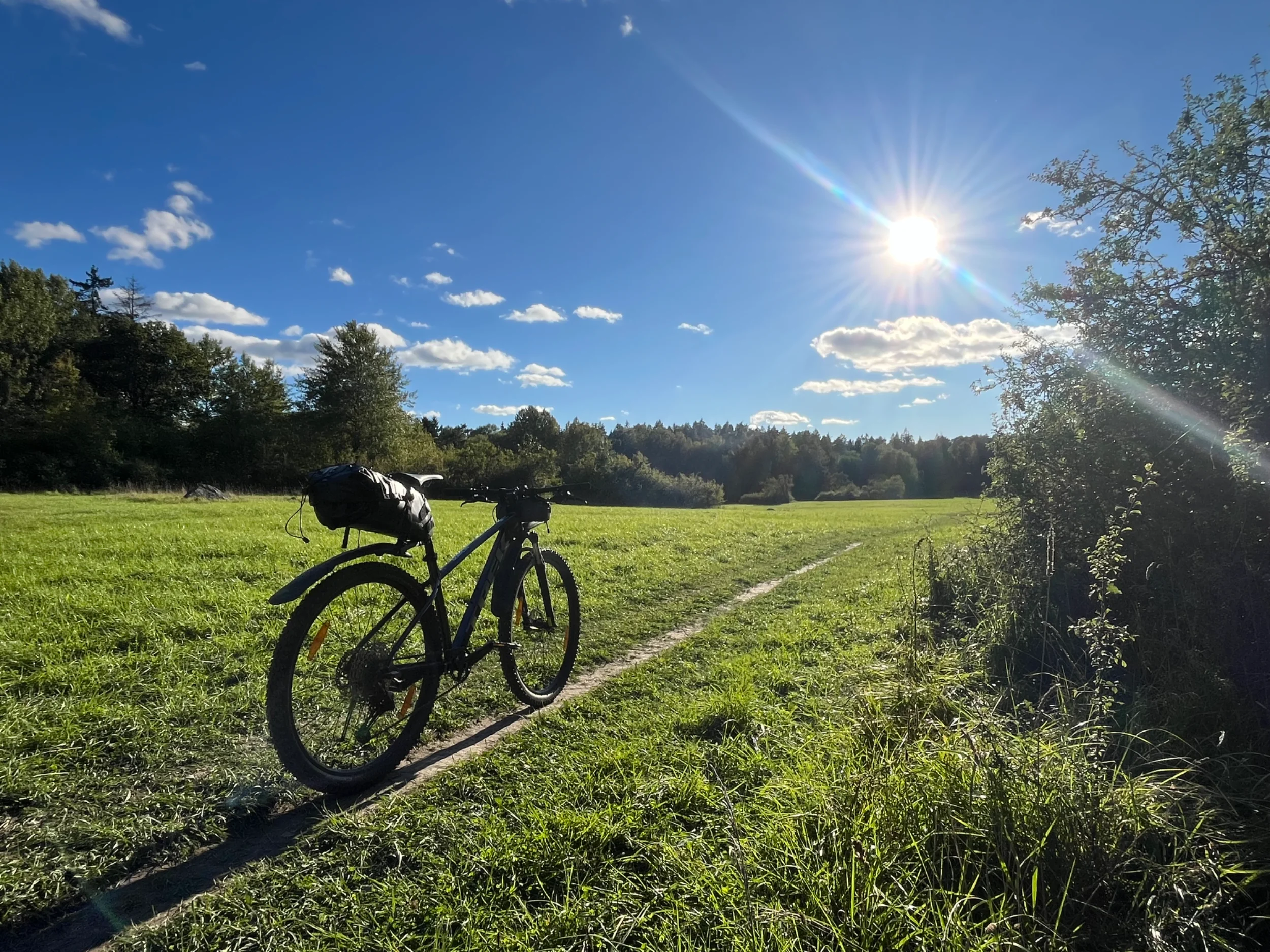 IMG_6964.webp