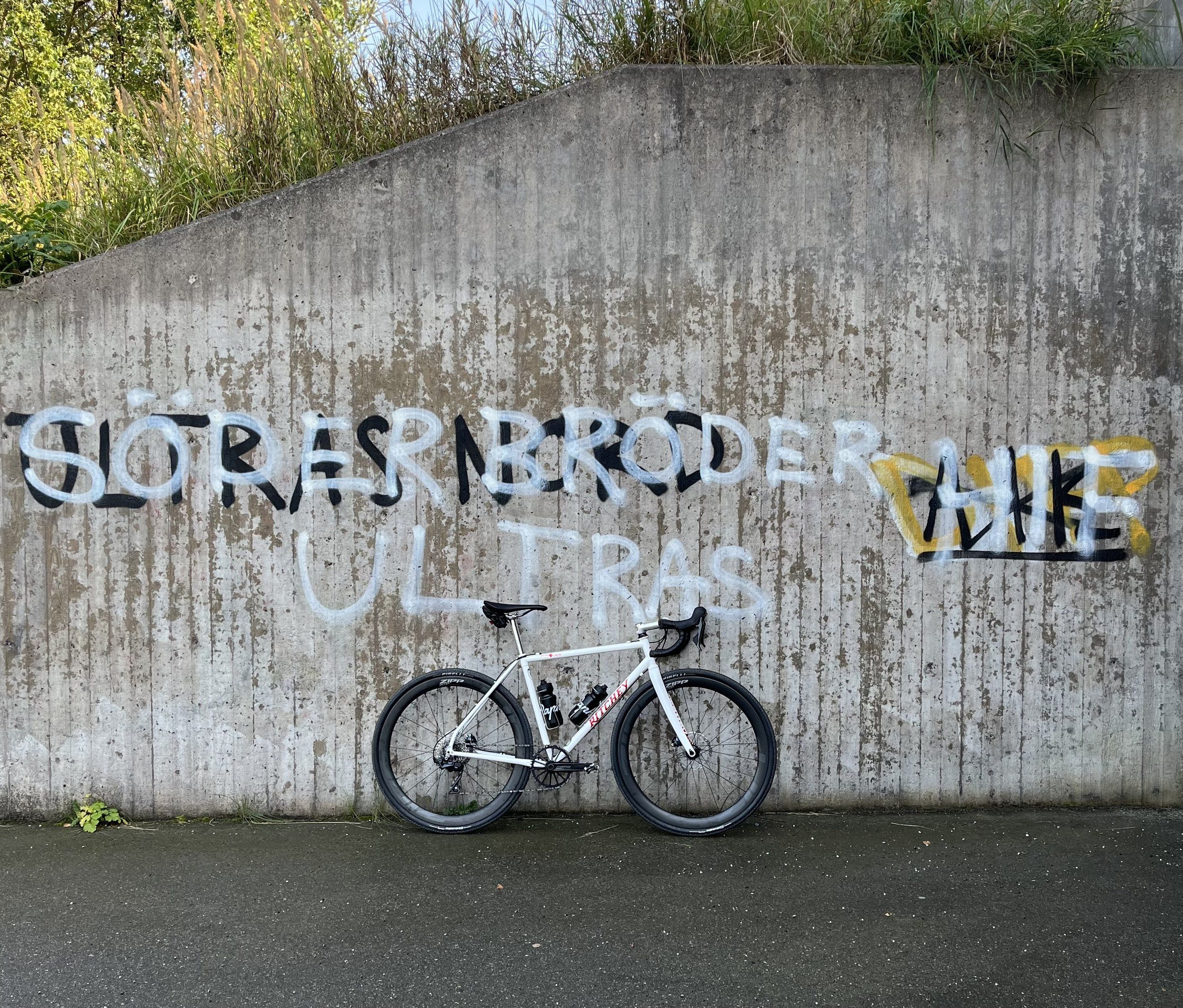 IMG_7074.jpeg