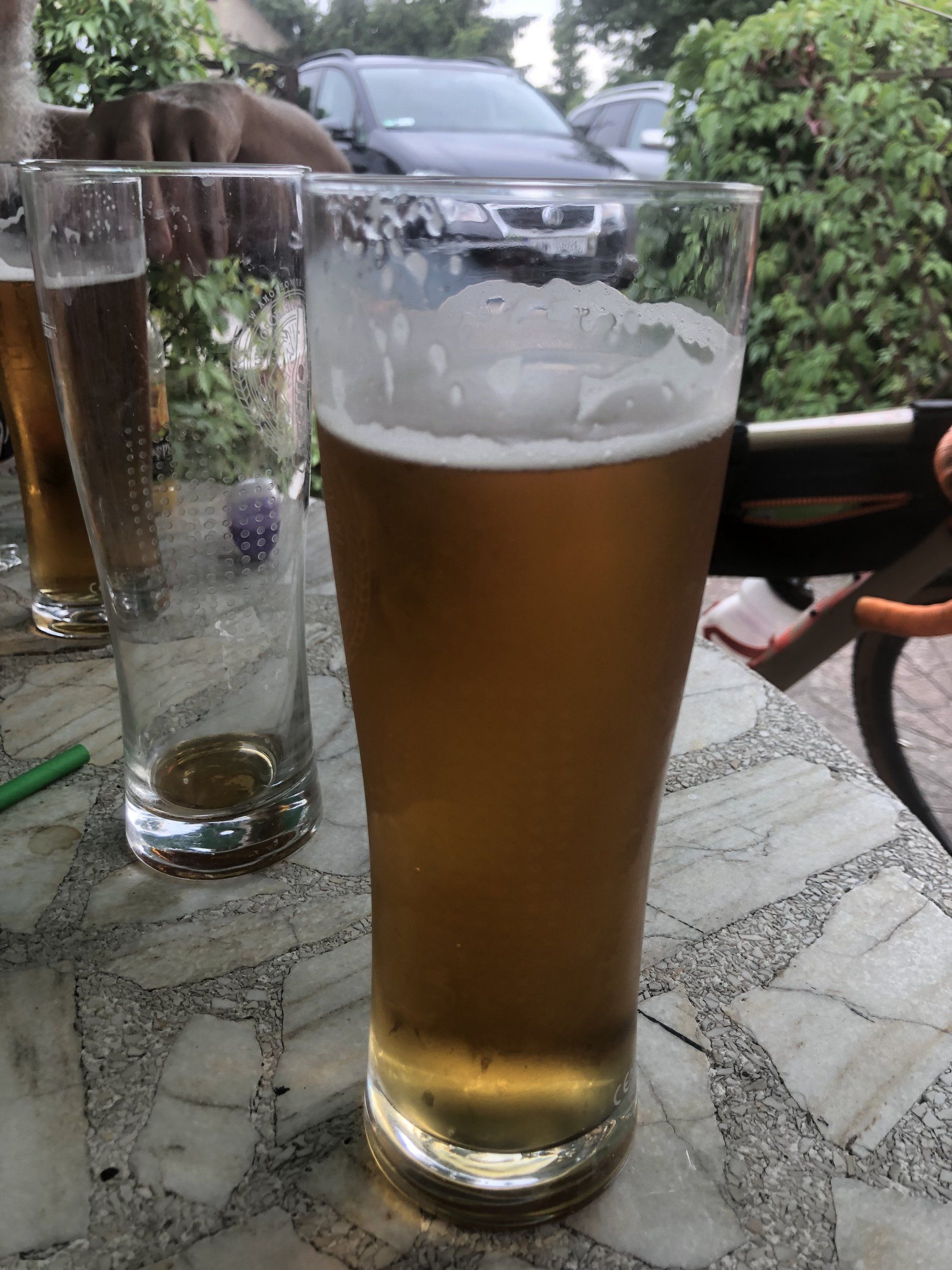 IMG_7146.jpeg