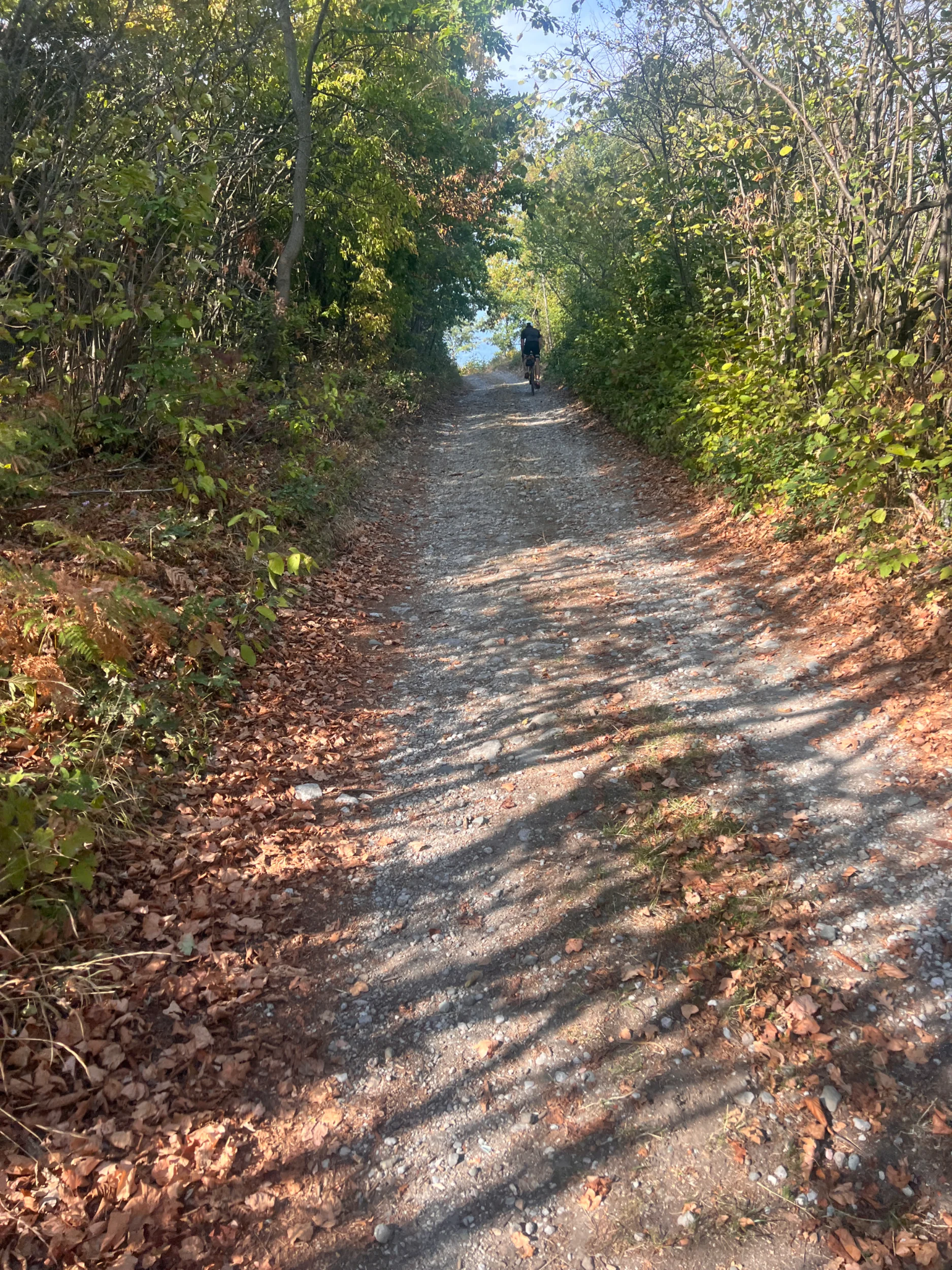IMG_7267.webp