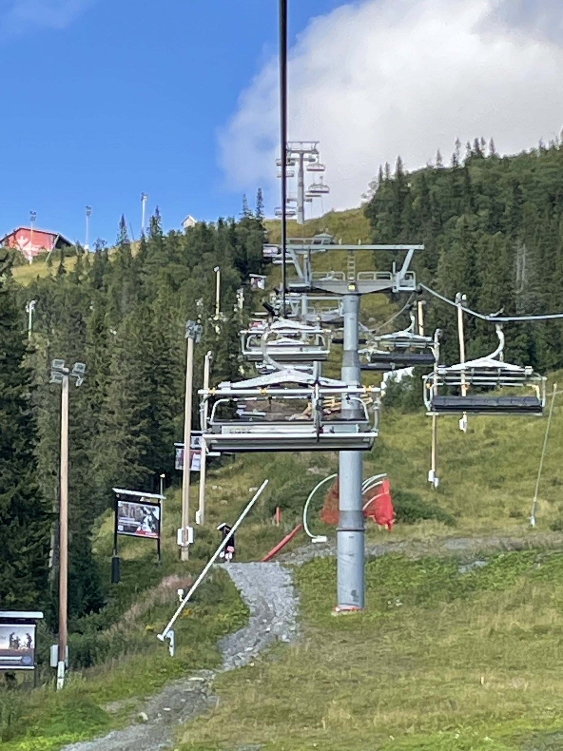 IMG_7364.jpeg