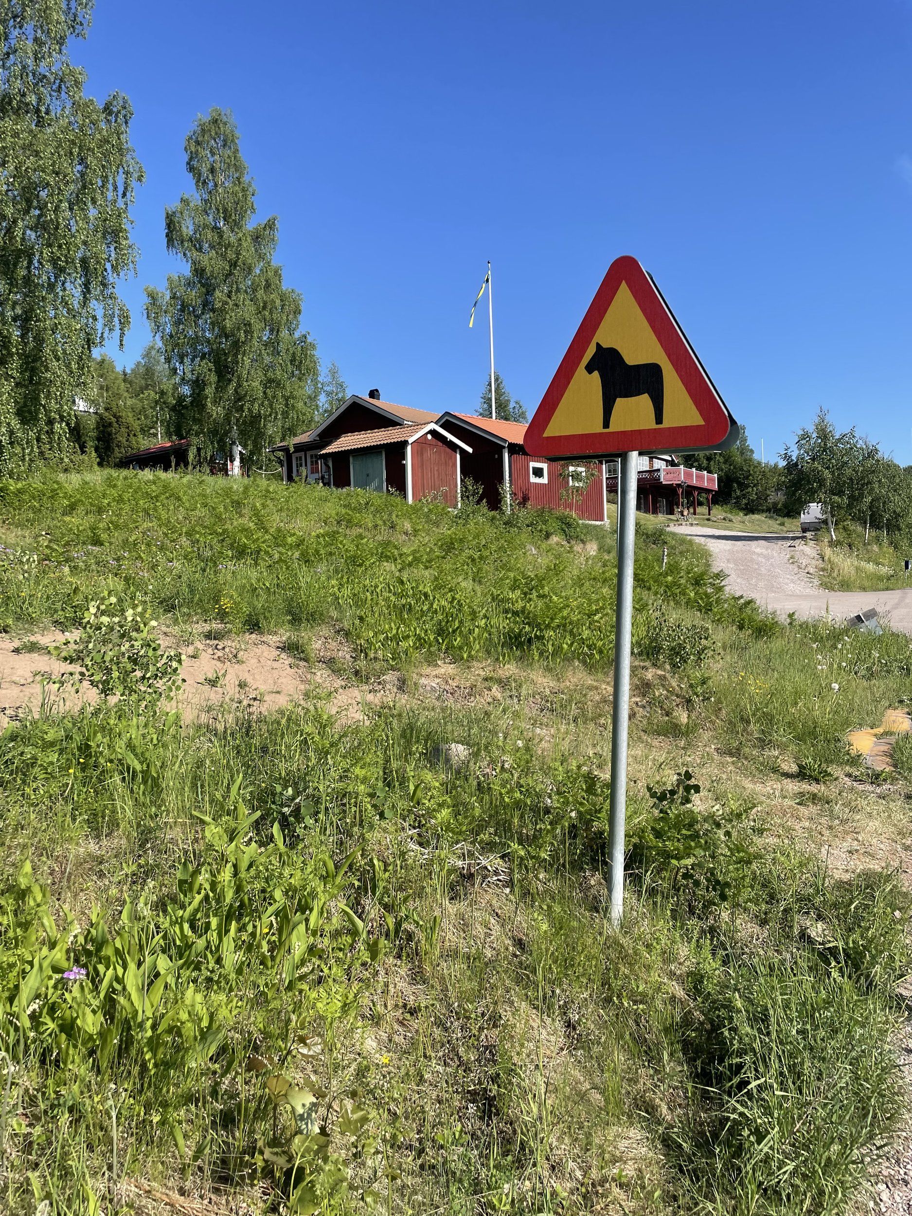 IMG_7508.jpeg