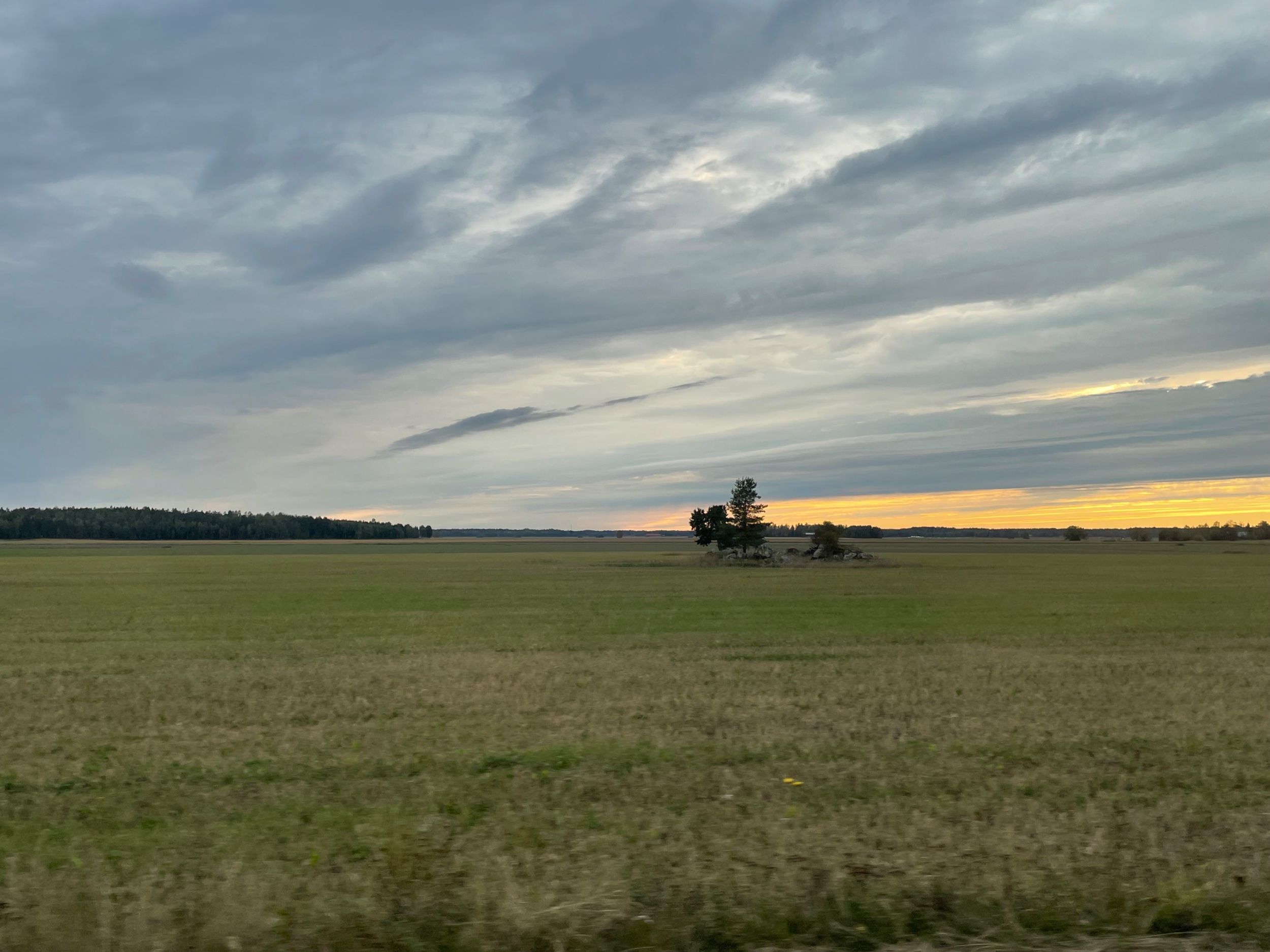 IMG_7531.jpeg