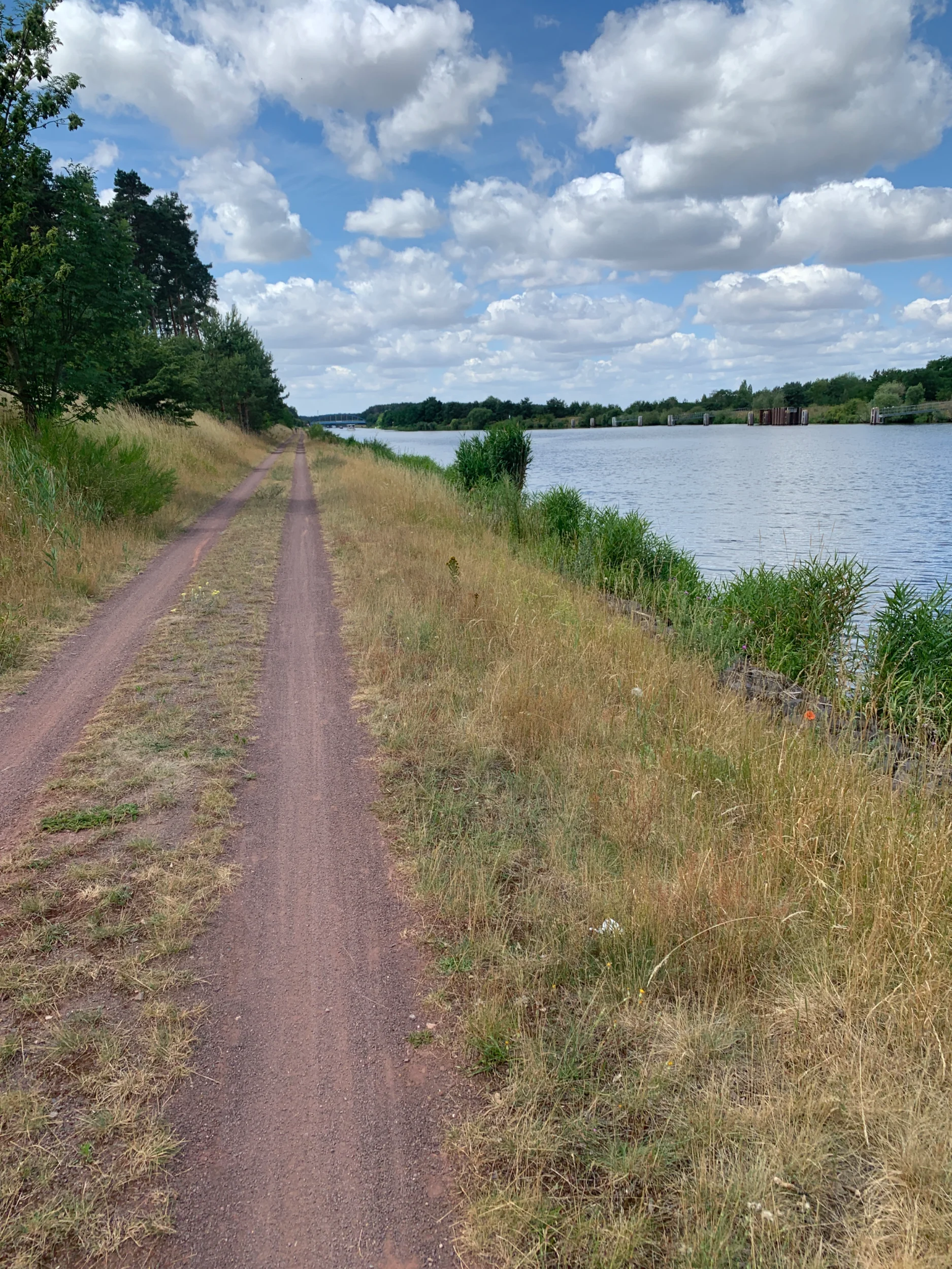 IMG_7546.webp