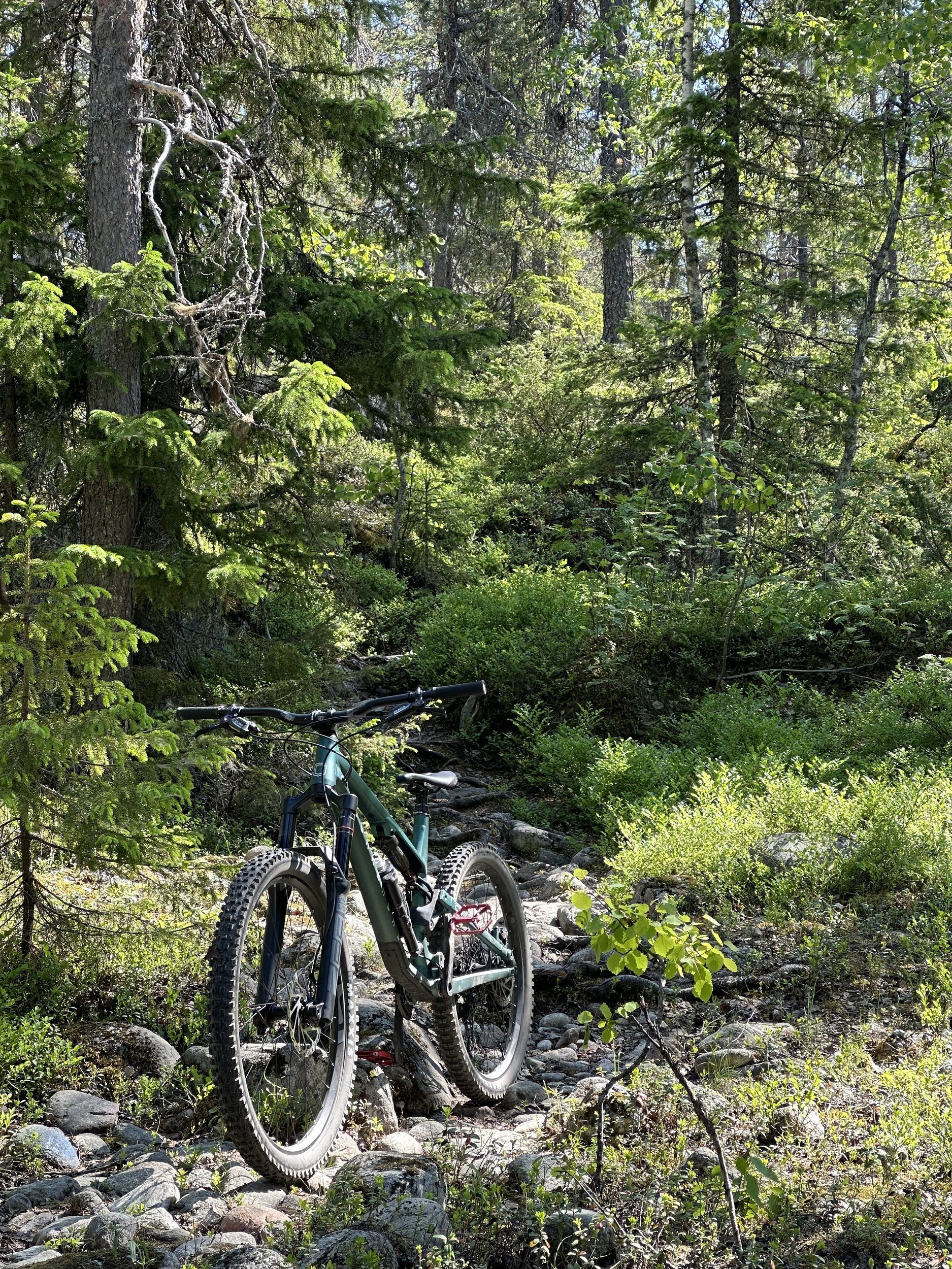 IMG_7572.jpeg