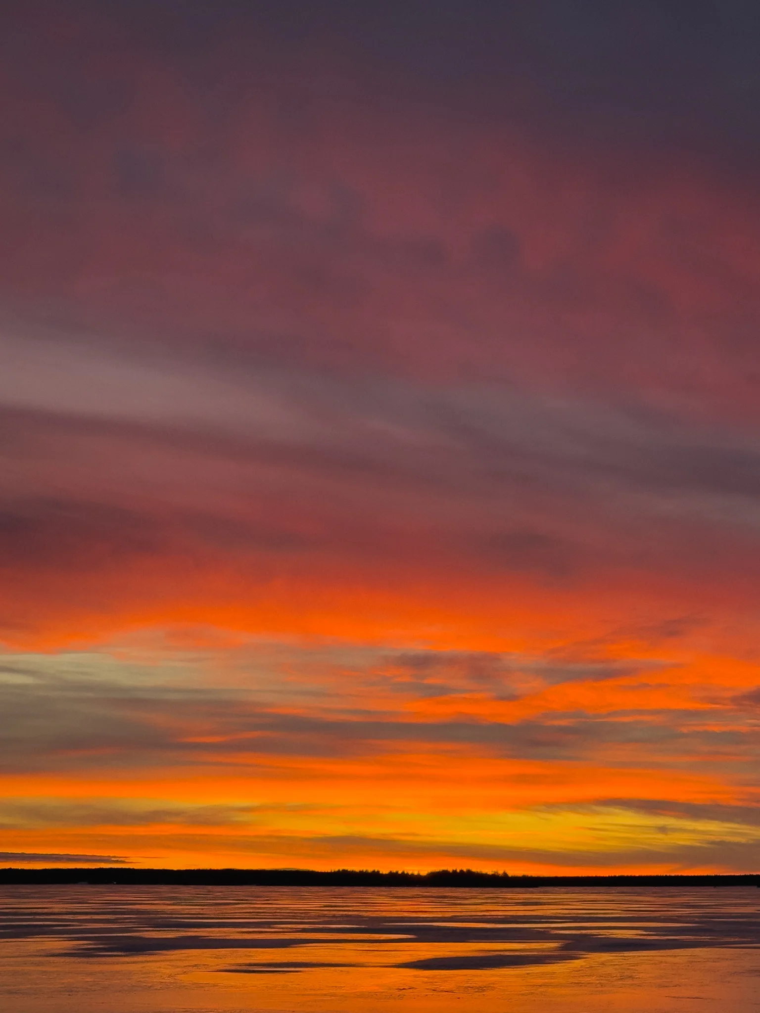 IMG_7796.webp