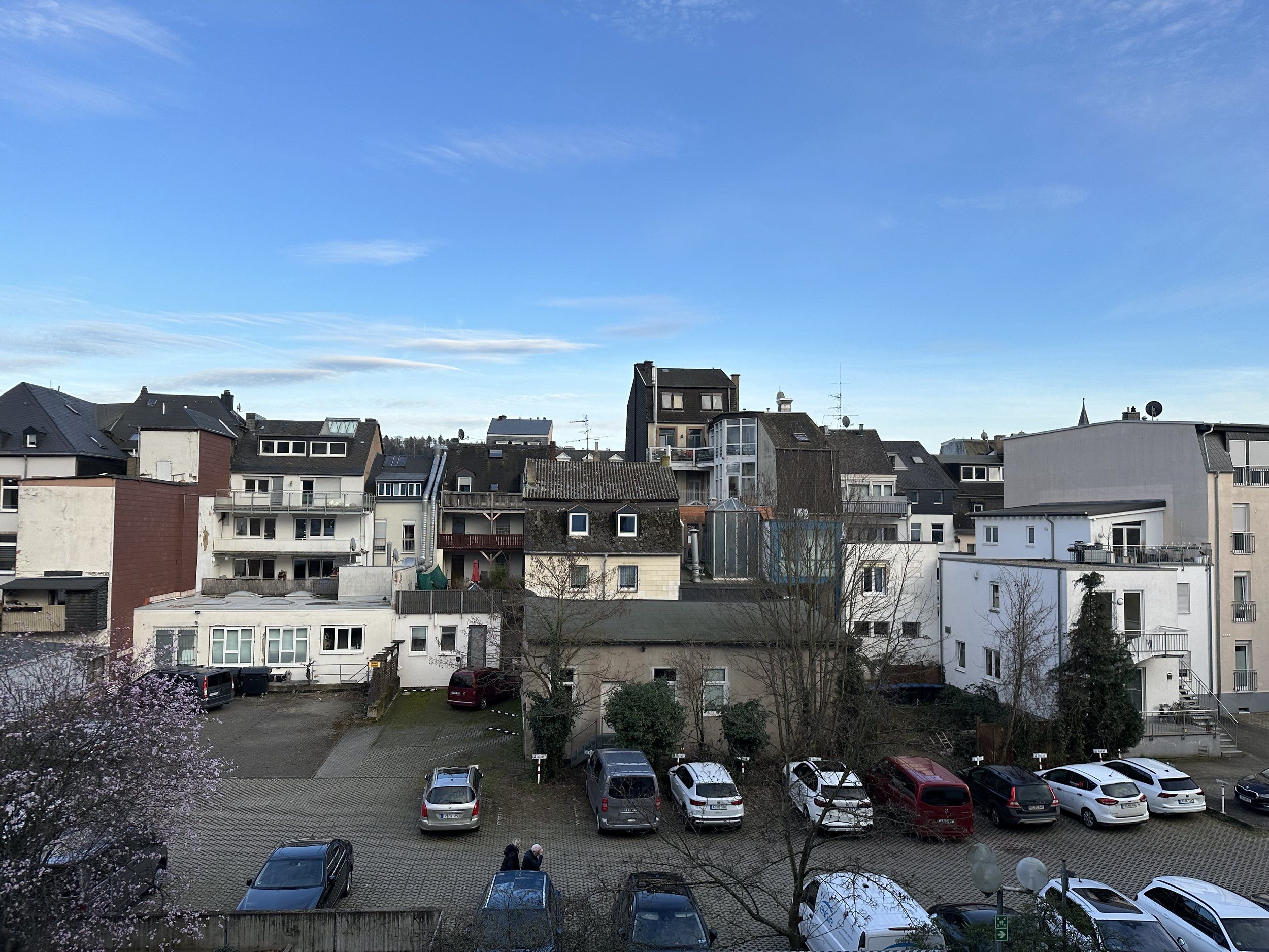 IMG_7821.jpeg