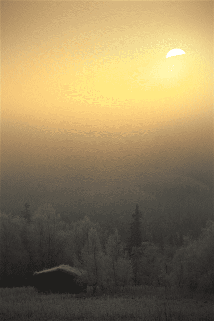 IMG_7894.png