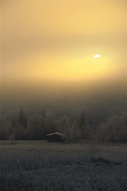 IMG_7895.png